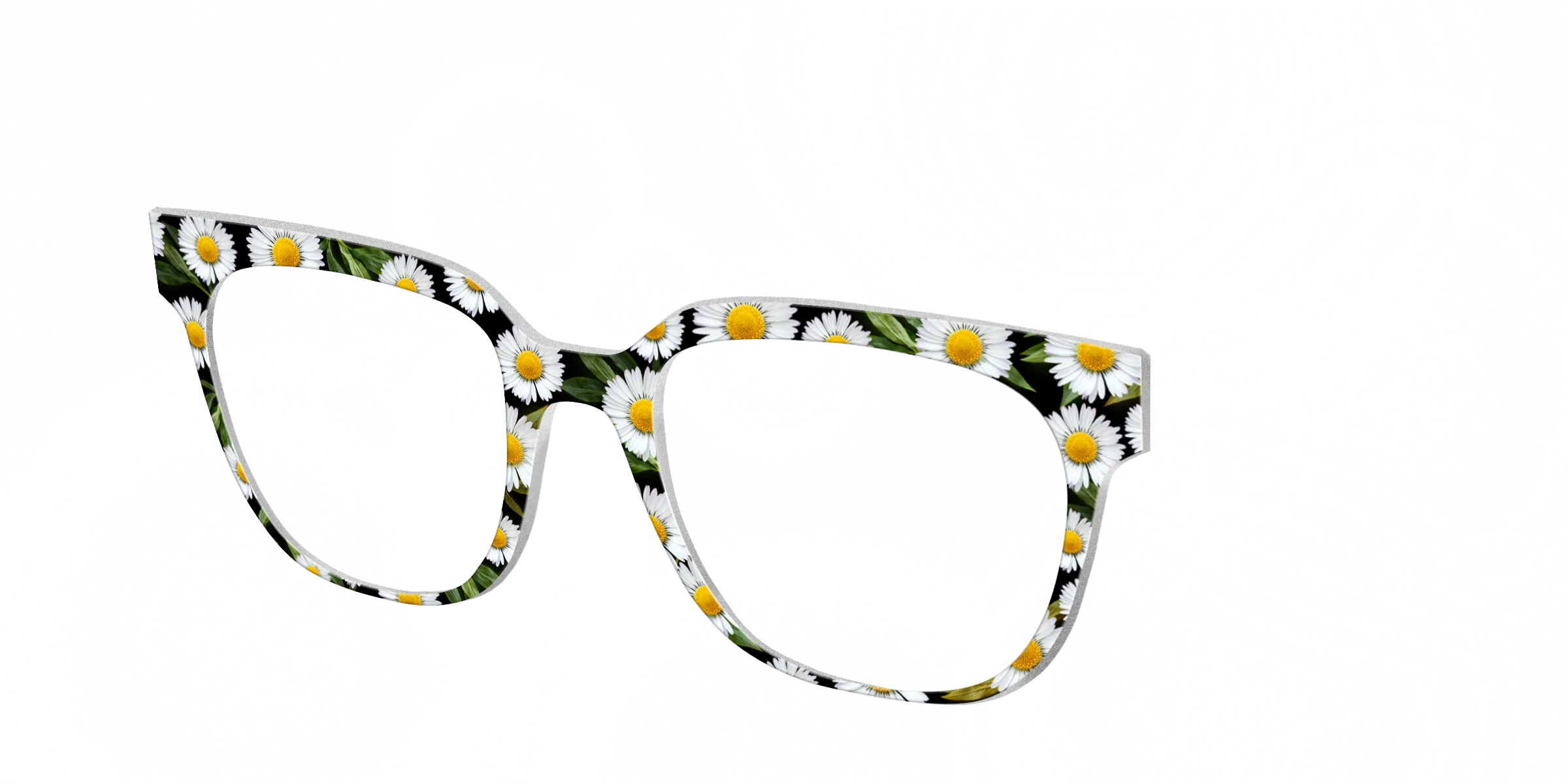 The Delicate Daisies - Image 32