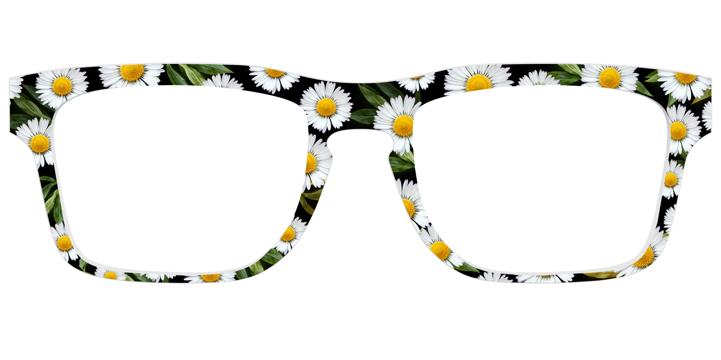 The Delicate Daisies - Image 35