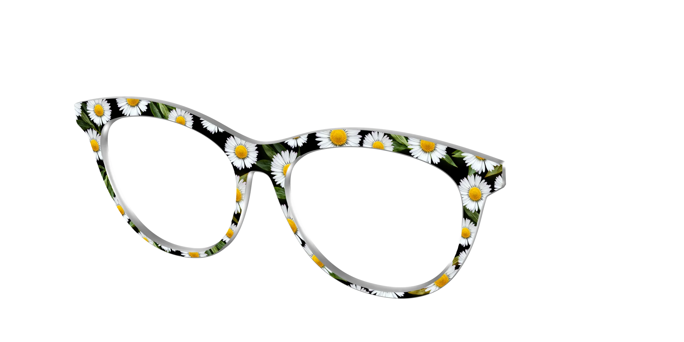 The Delicate Daisies - Image 42