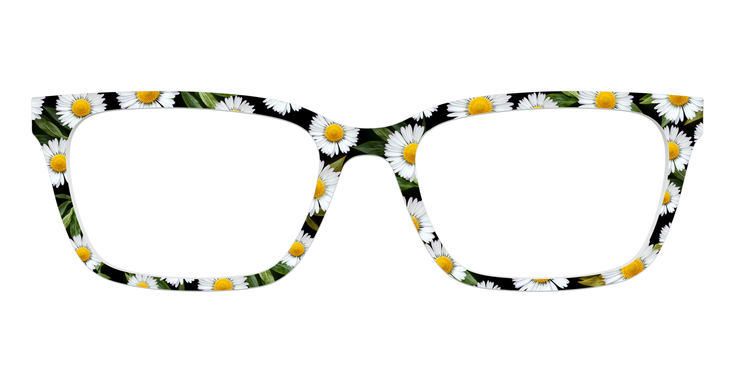The Delicate Daisies - Image 9