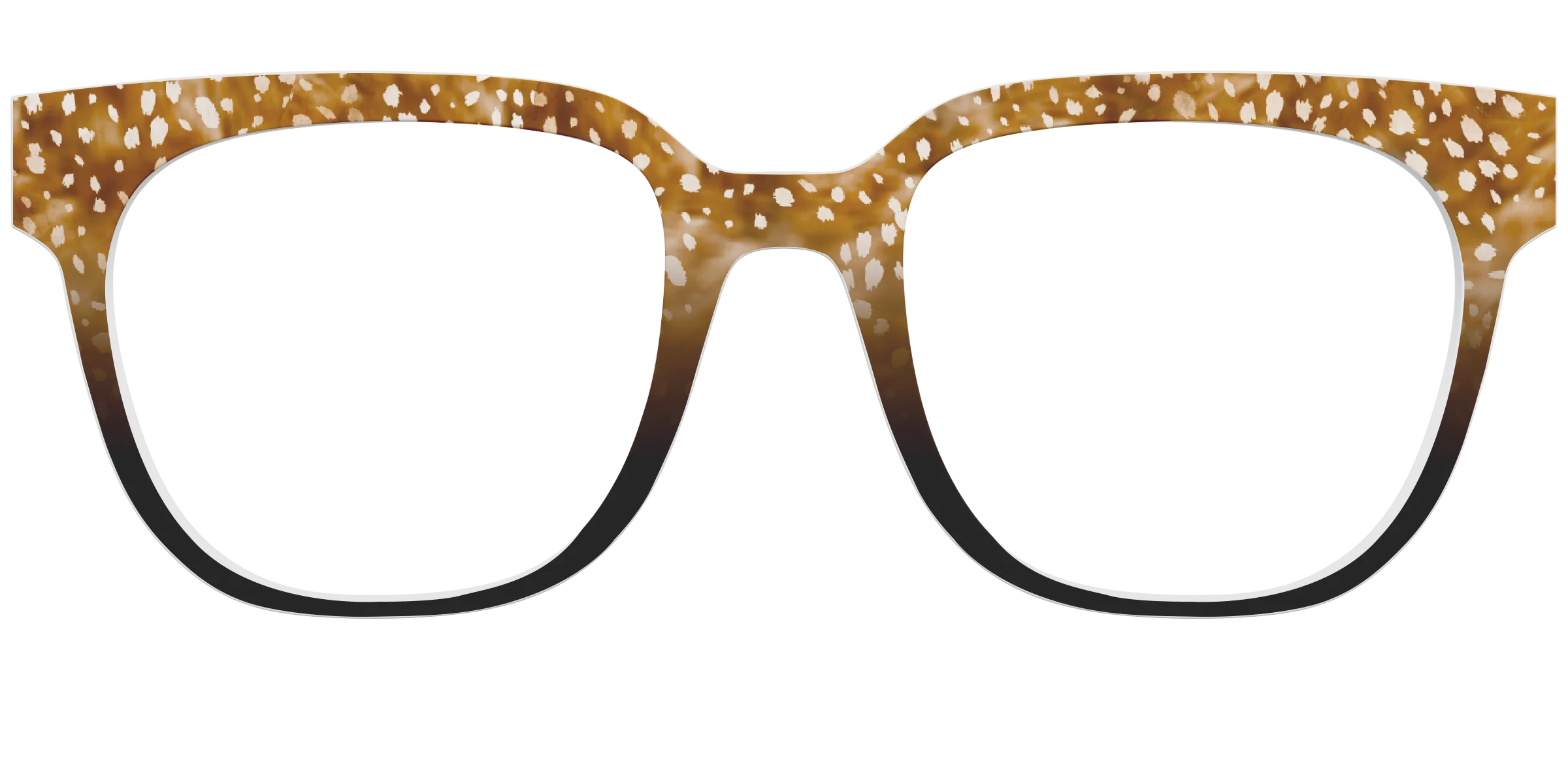 The Doe Spots - Image 31