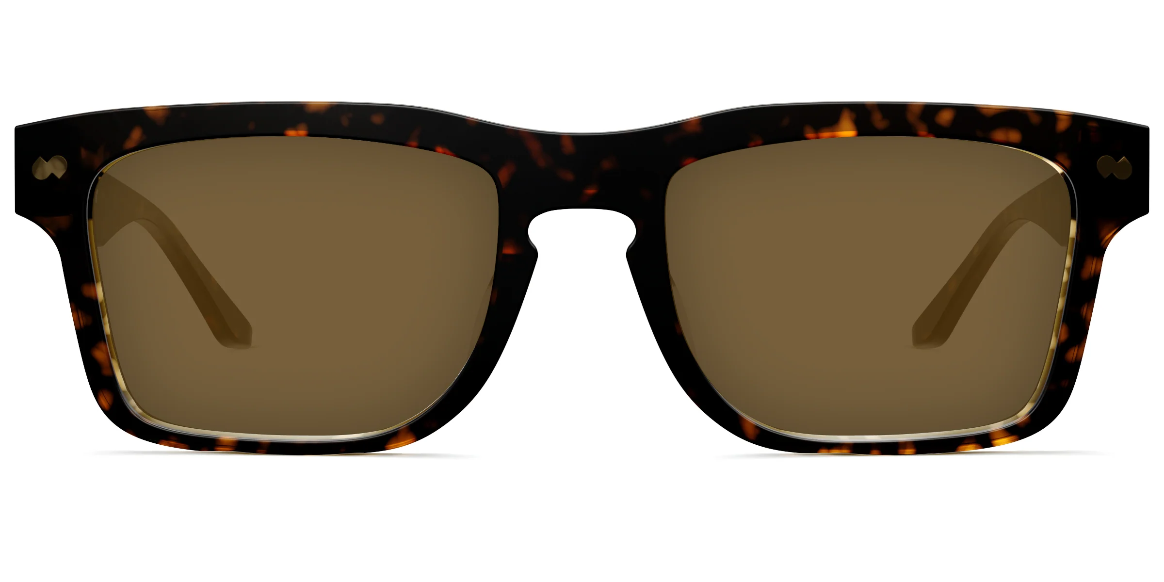 The Drew - Tortoise Sun - Image 2