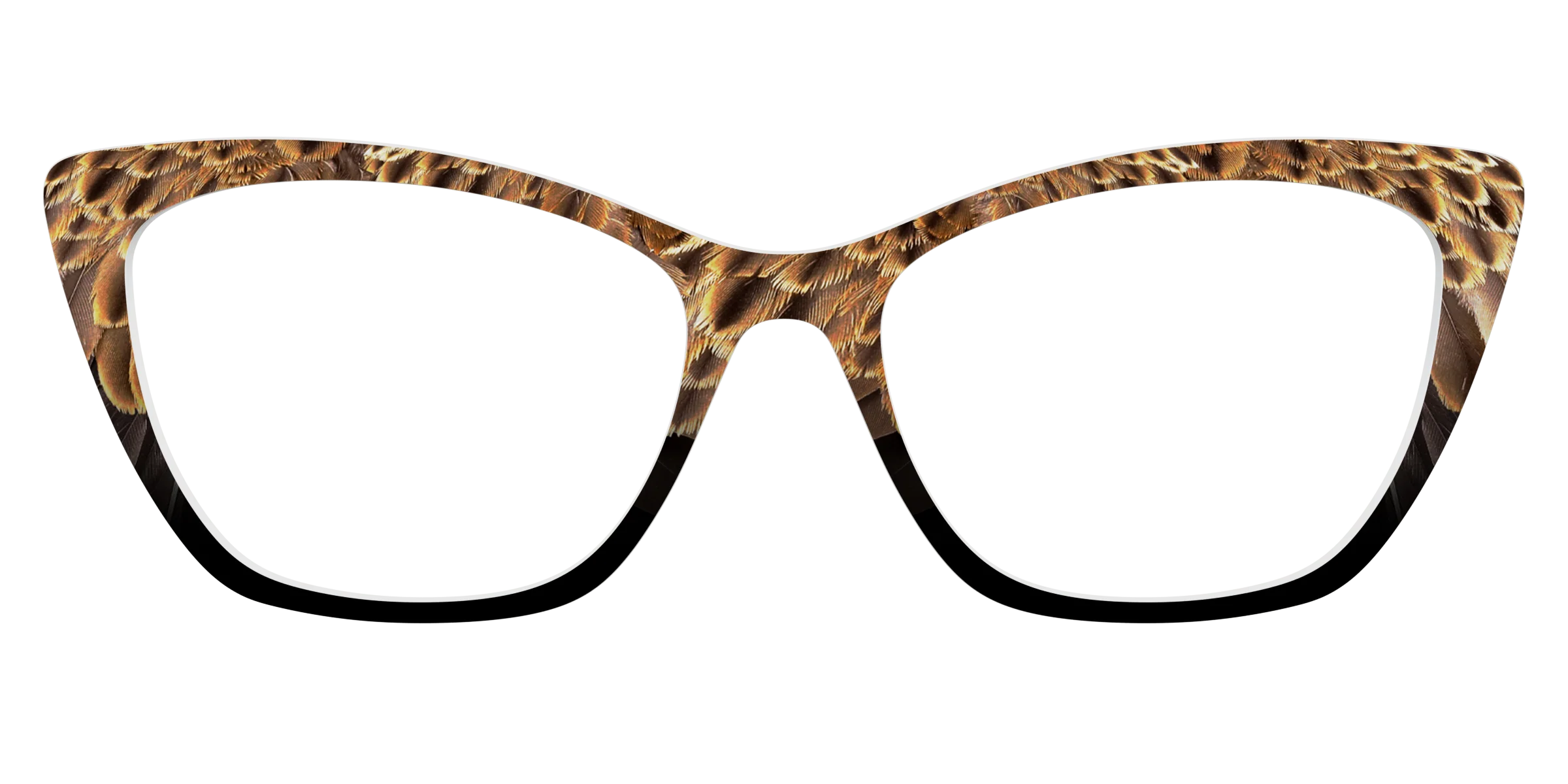 The Eagle Feathers - Image 25