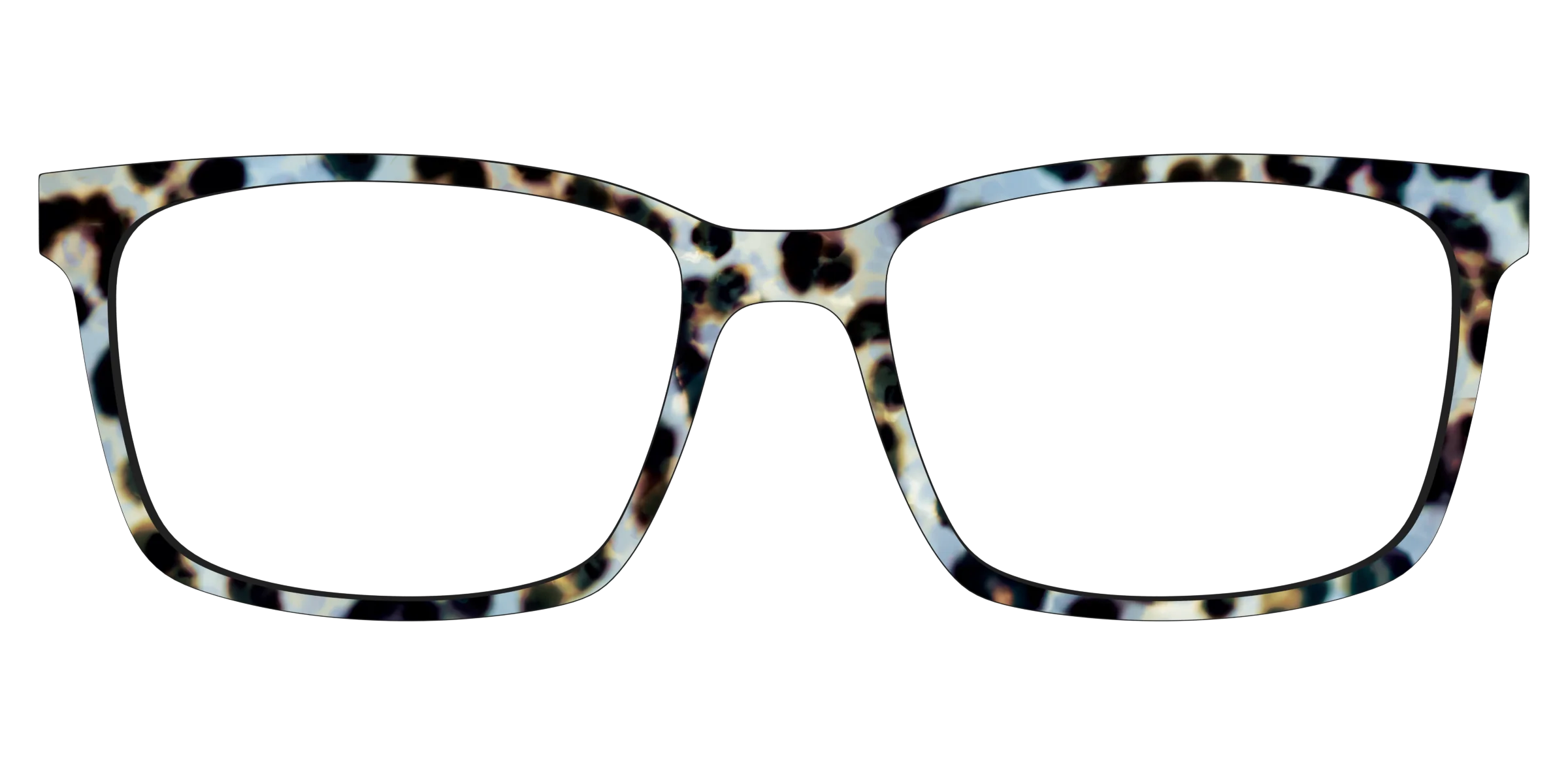 The Earl Grey Tortoise - Image 11