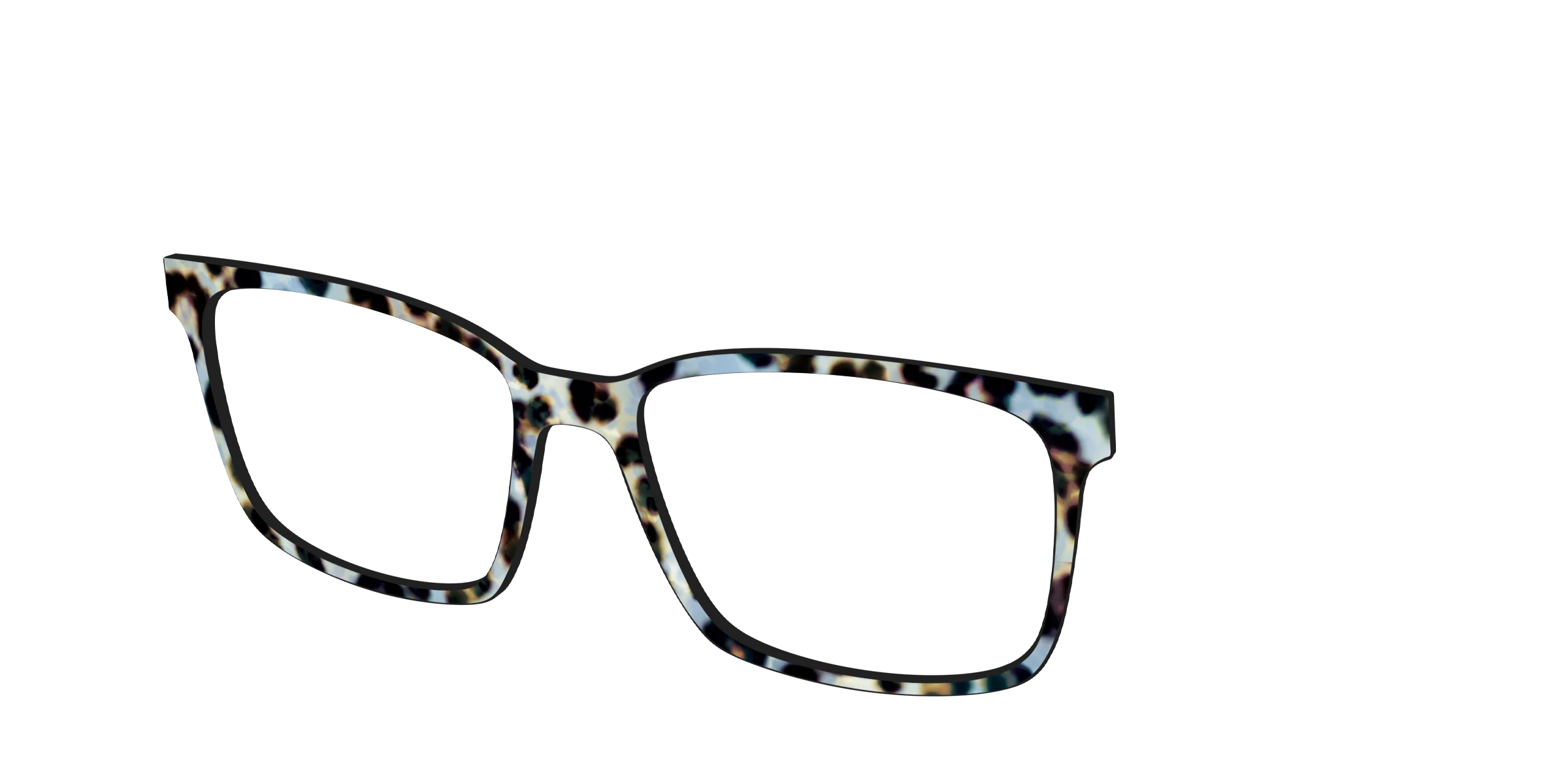 The Earl Grey Tortoise - Image 12