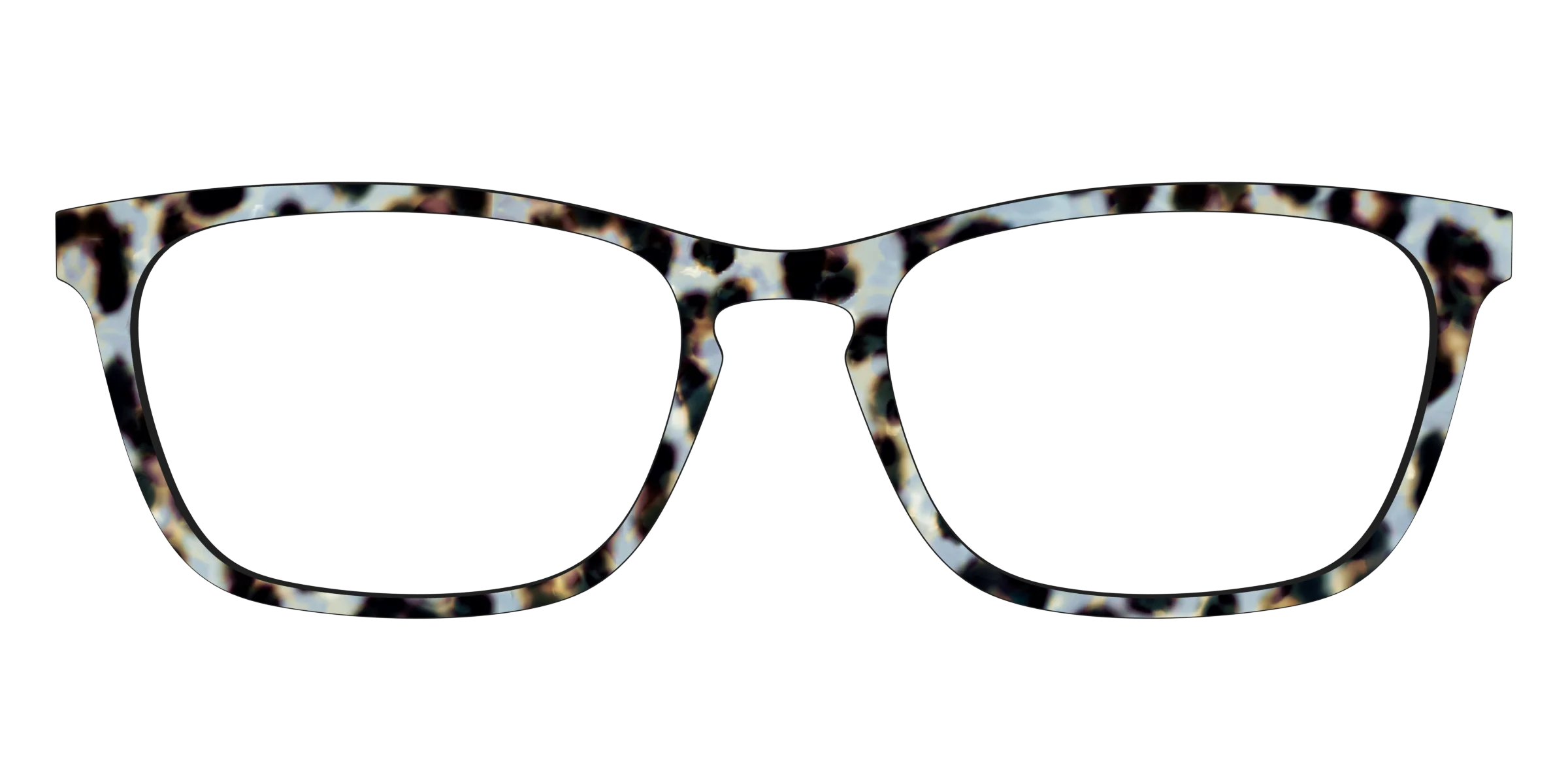 The Earl Grey Tortoise - Image 13