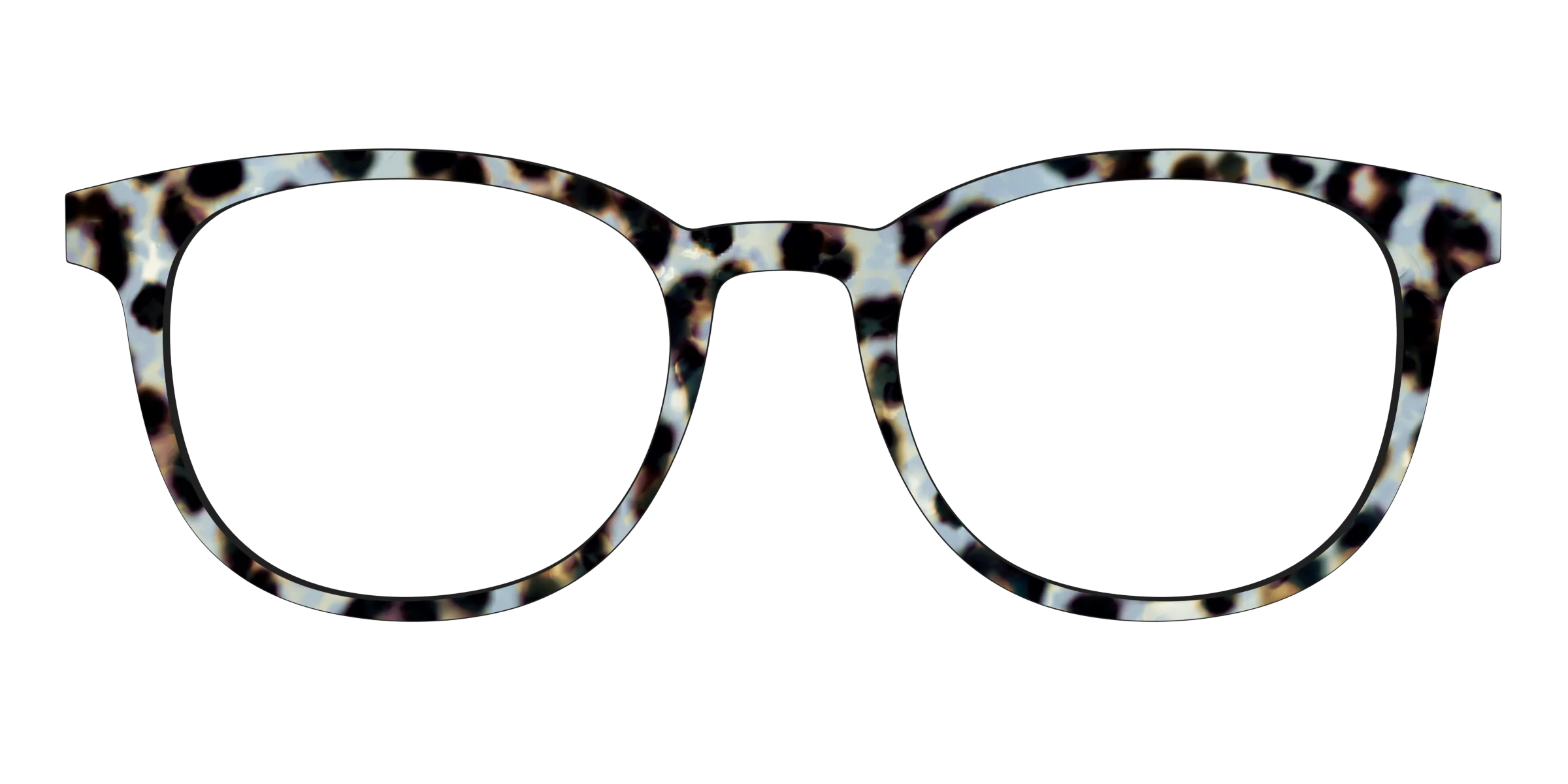The Earl Grey Tortoise - Image 15