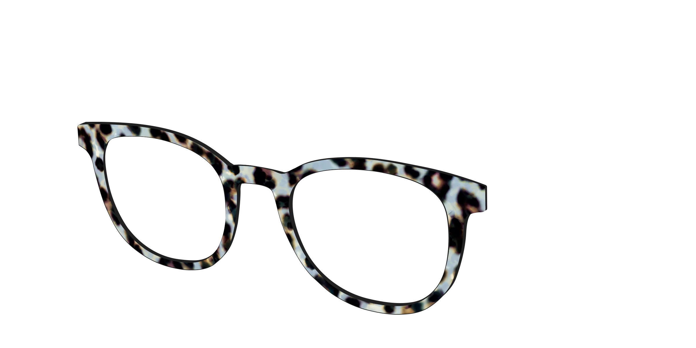 The Earl Grey Tortoise - Image 16
