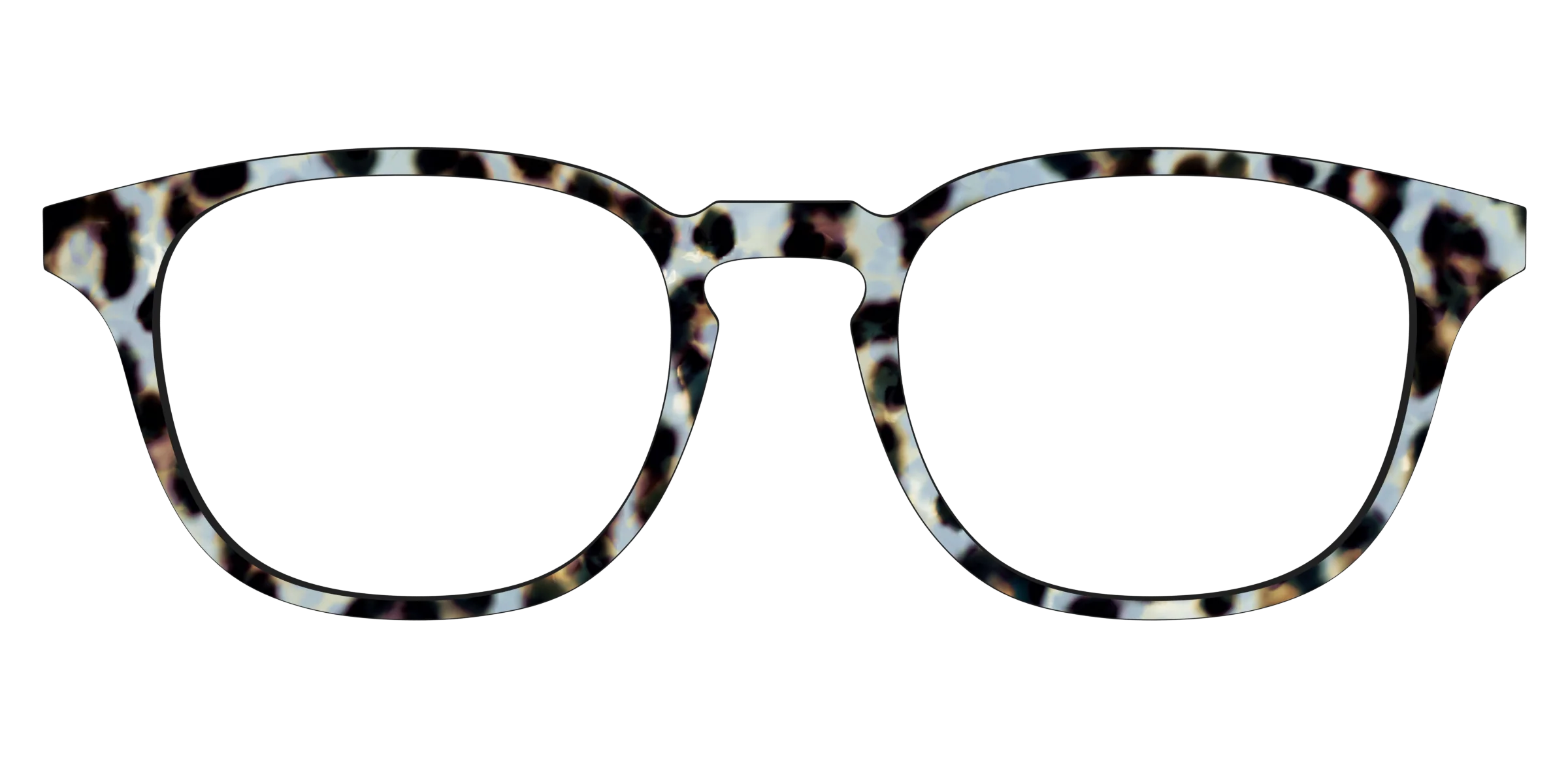 The Earl Grey Tortoise - Image 17