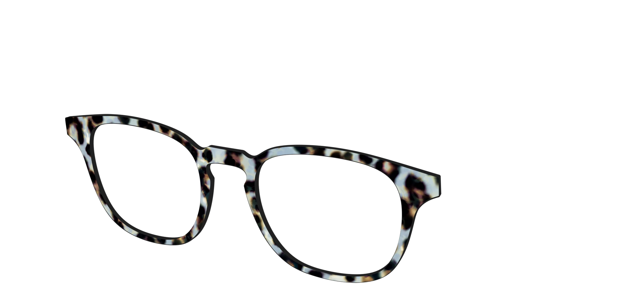 The Earl Grey Tortoise - Image 18