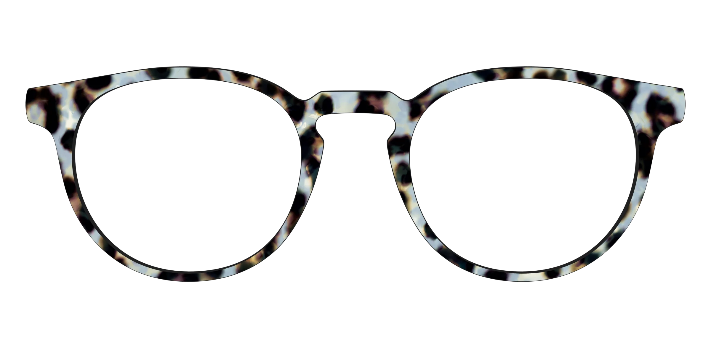 The Earl Grey Tortoise - Image 19