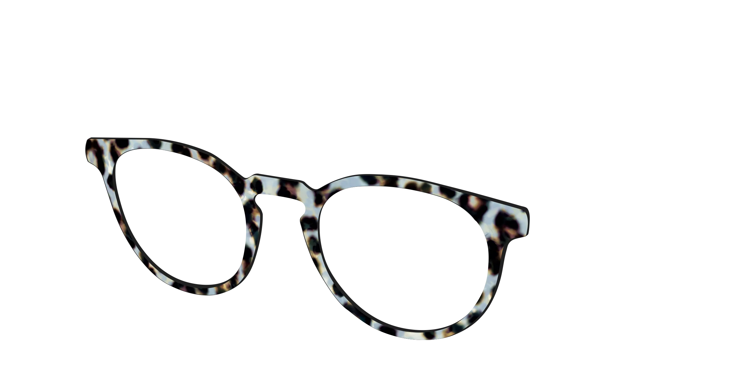 The Earl Grey Tortoise - Image 20