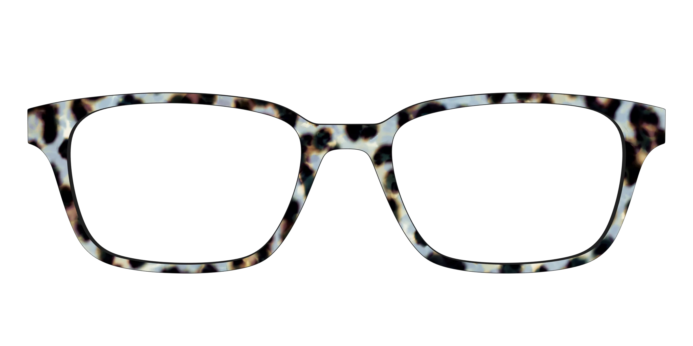 The Earl Grey Tortoise - Image 21