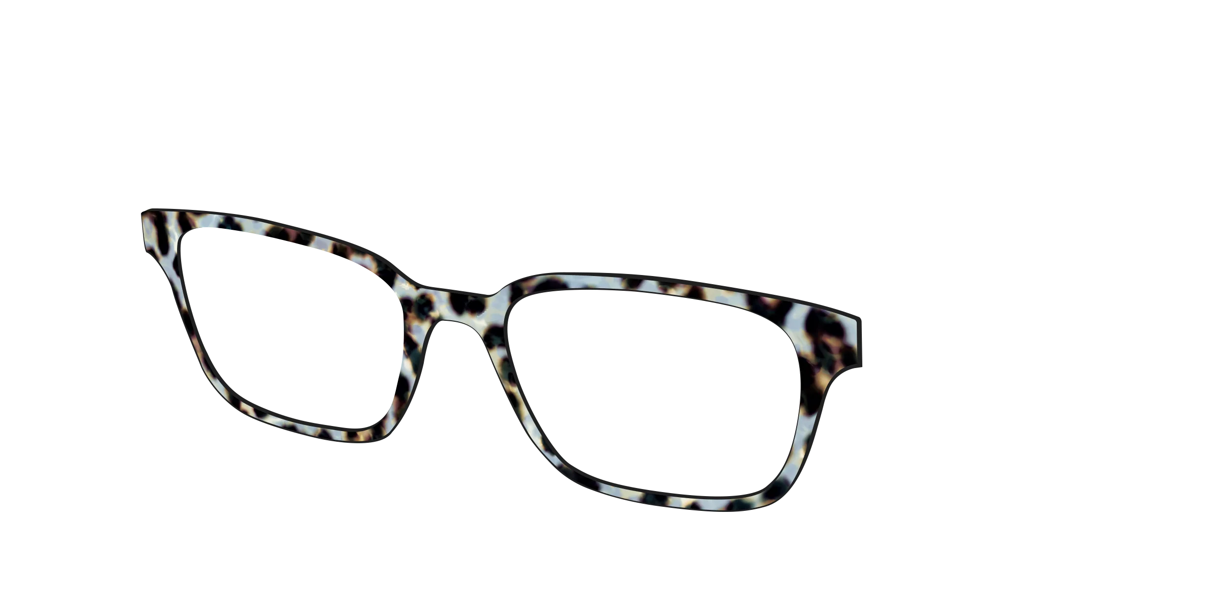 The Earl Grey Tortoise - Image 22