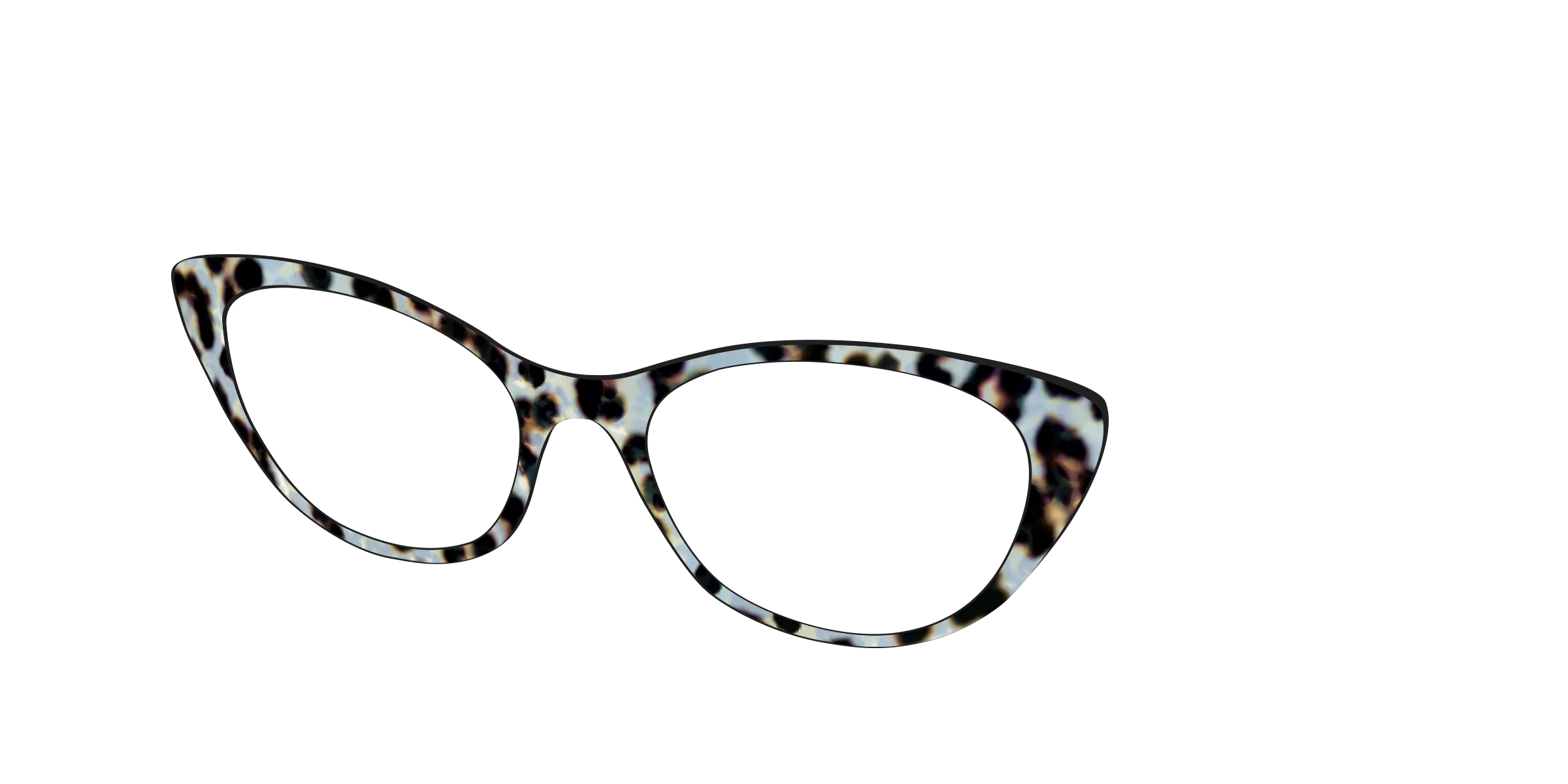 The Earl Grey Tortoise - Image 24