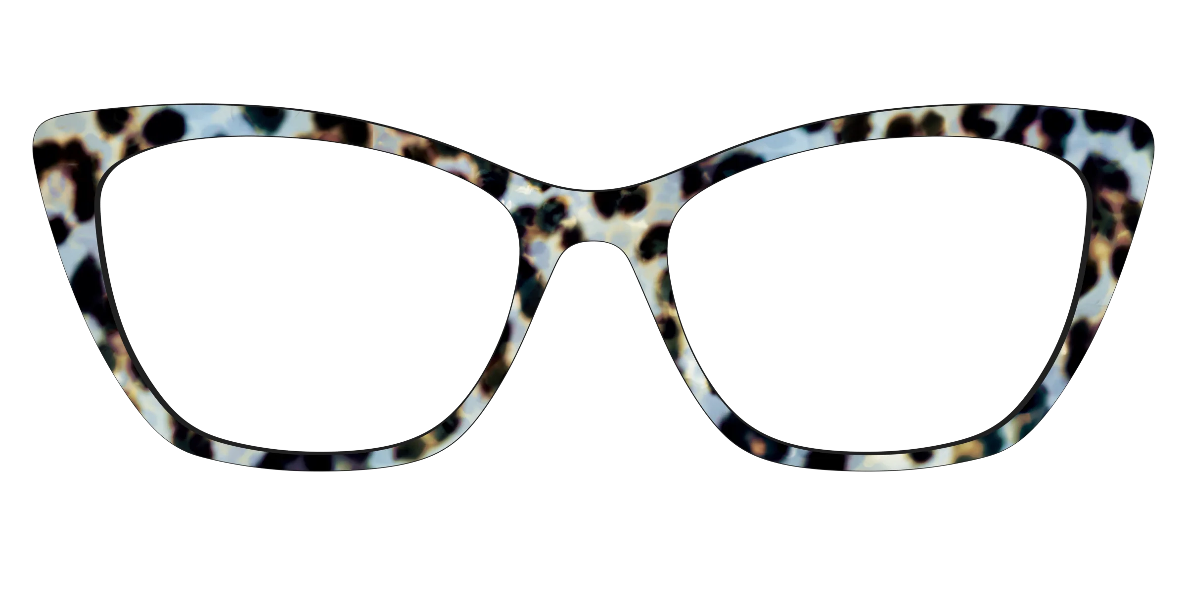 The Earl Grey Tortoise - Image 25