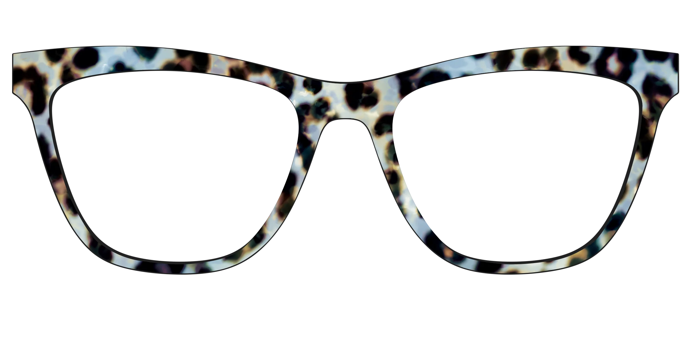 The Earl Grey Tortoise - Image 29