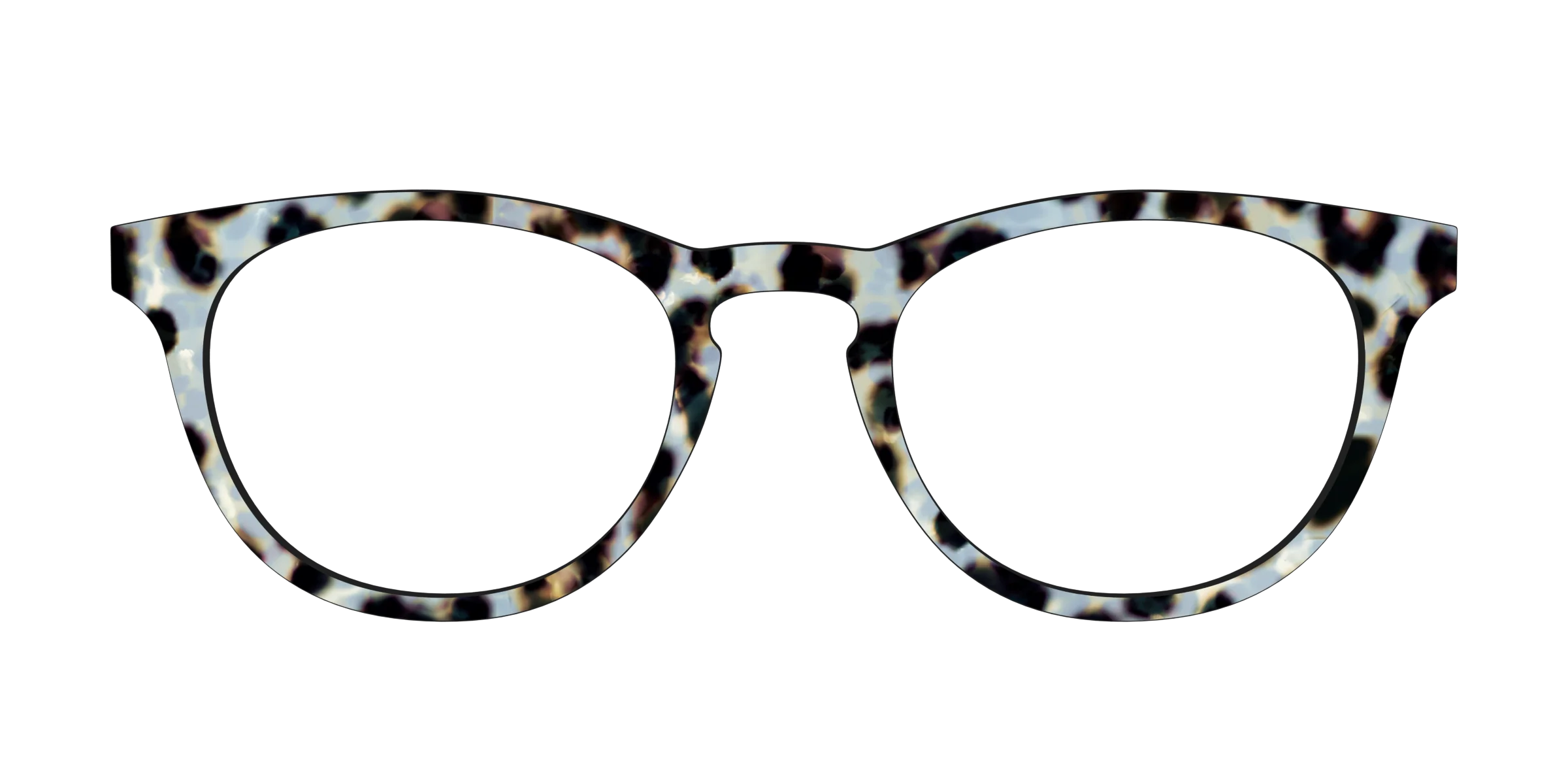 The Earl Grey Tortoise - Image 3