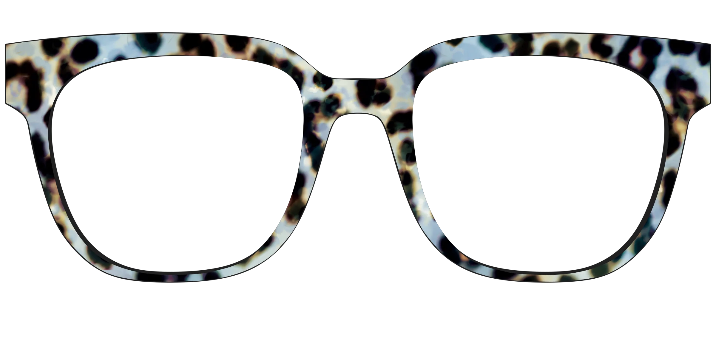 The Earl Grey Tortoise - Image 31