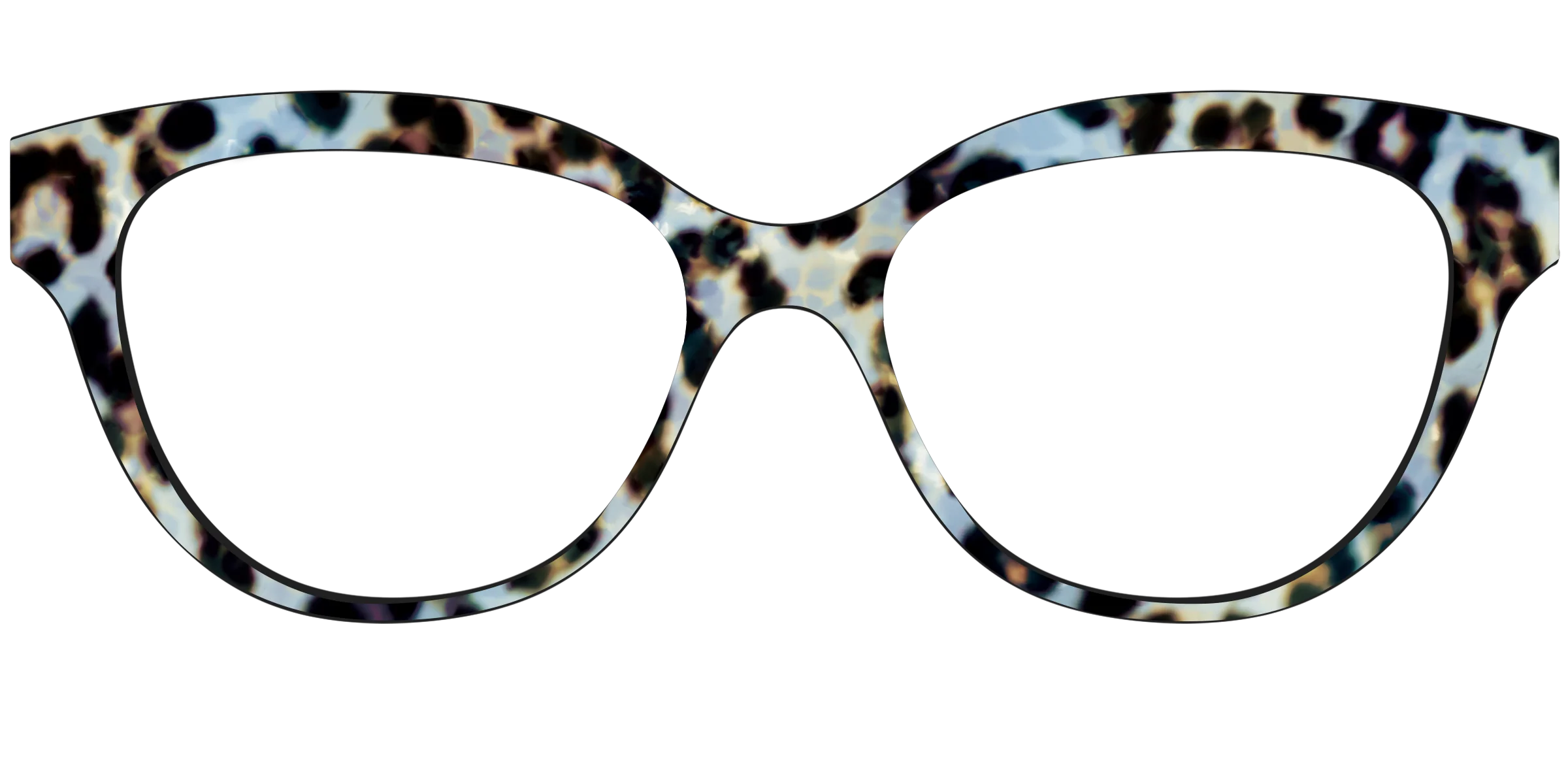 The Earl Grey Tortoise - Image 33