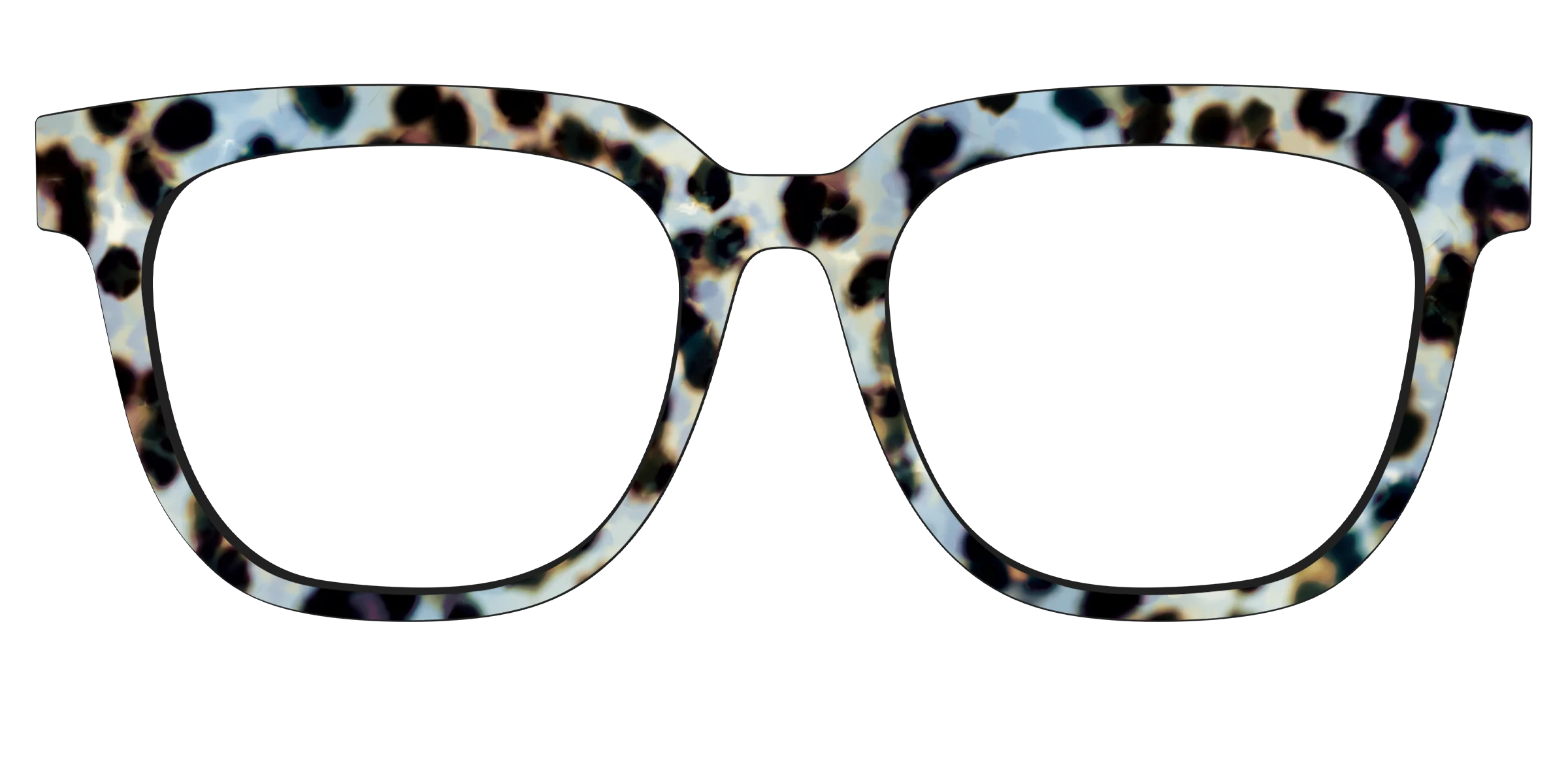 The Earl Grey Tortoise - Image 37