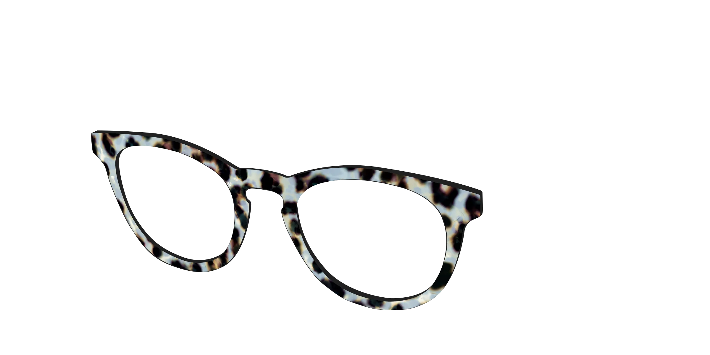 The Earl Grey Tortoise - Image 4