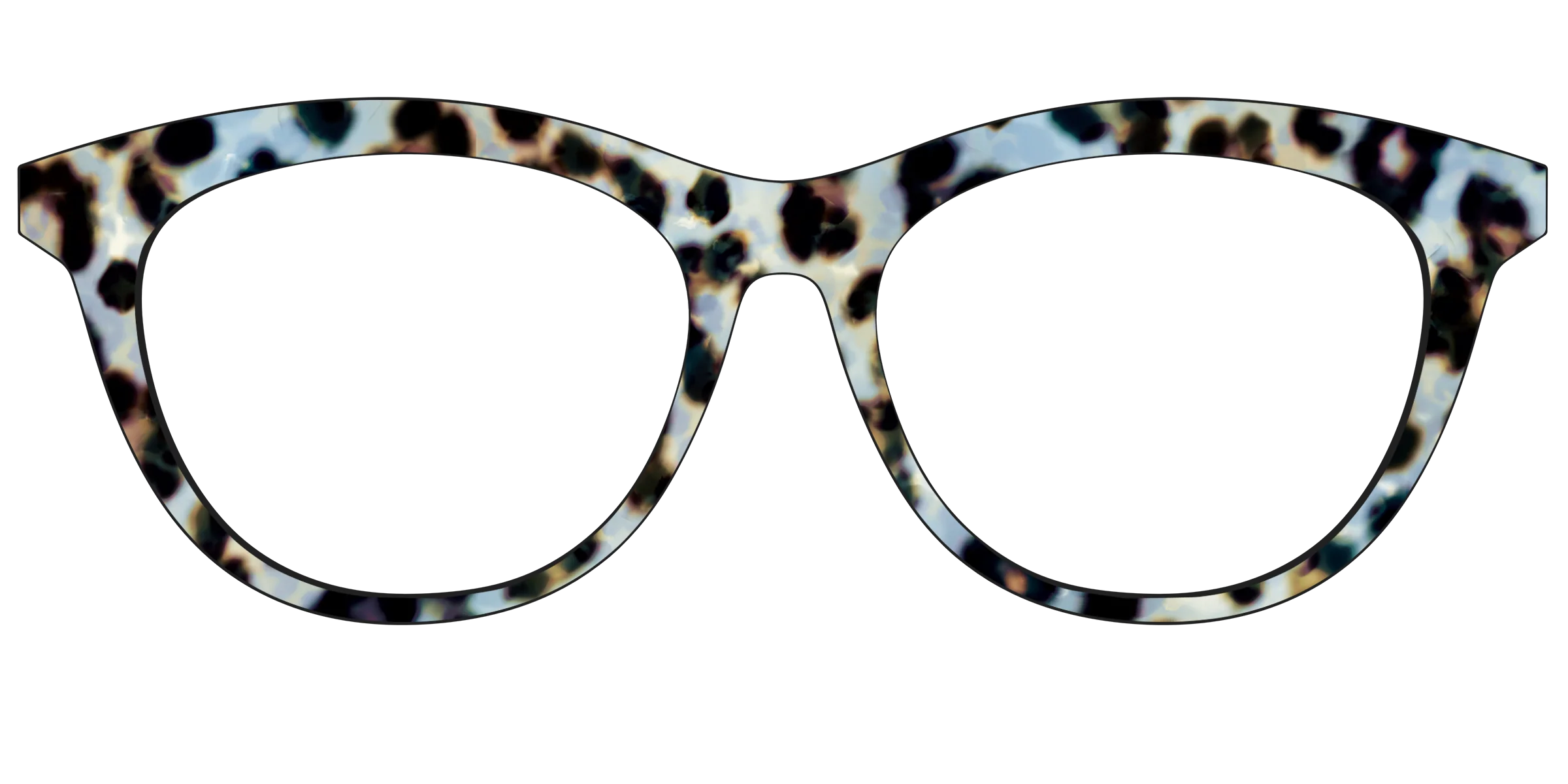The Earl Grey Tortoise - Image 41