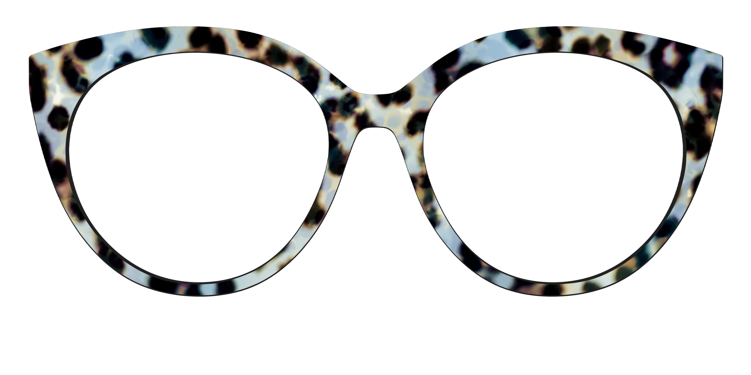 The Earl Grey Tortoise - Image 43