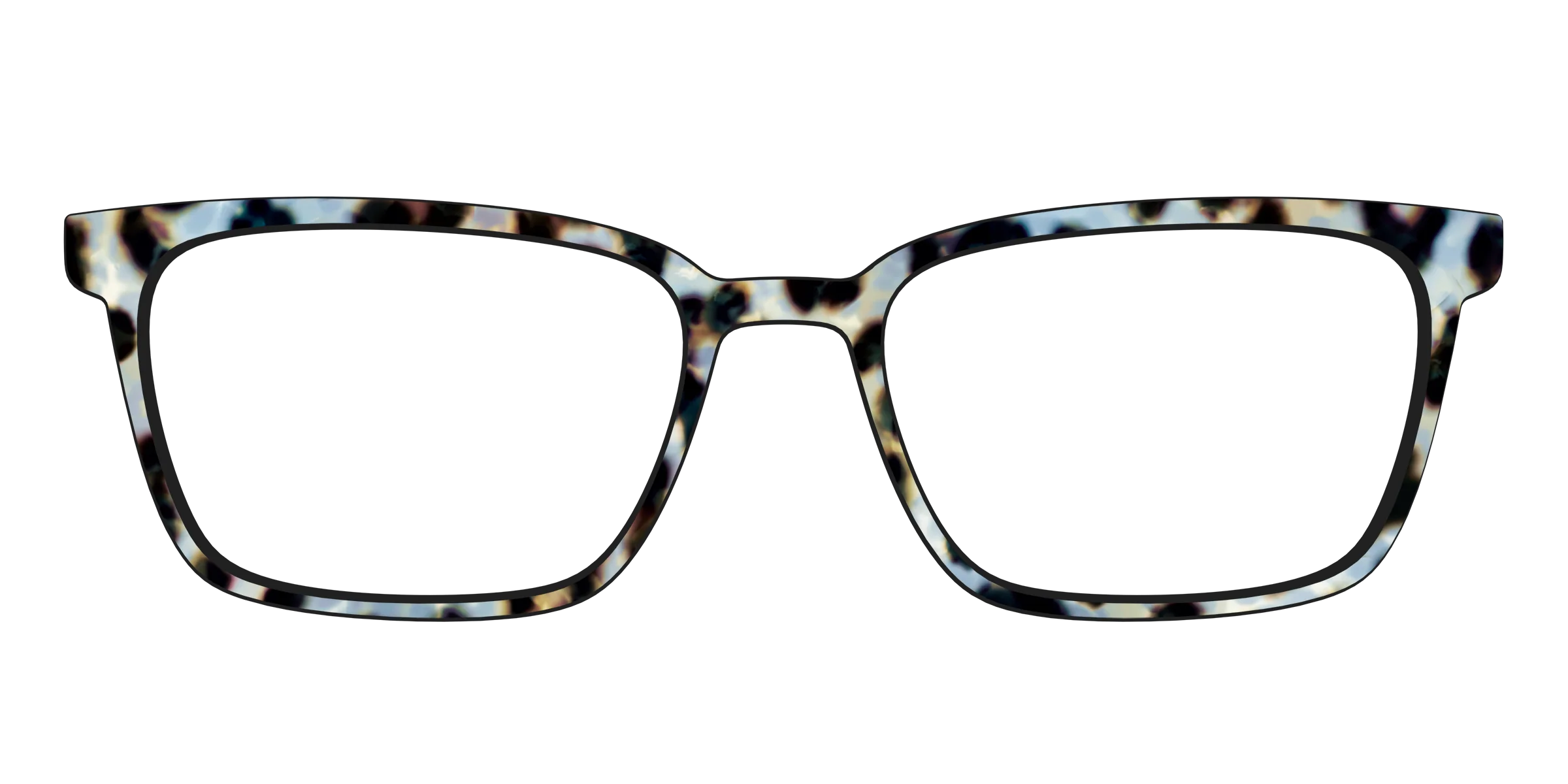The Earl Grey Tortoise - Image 45