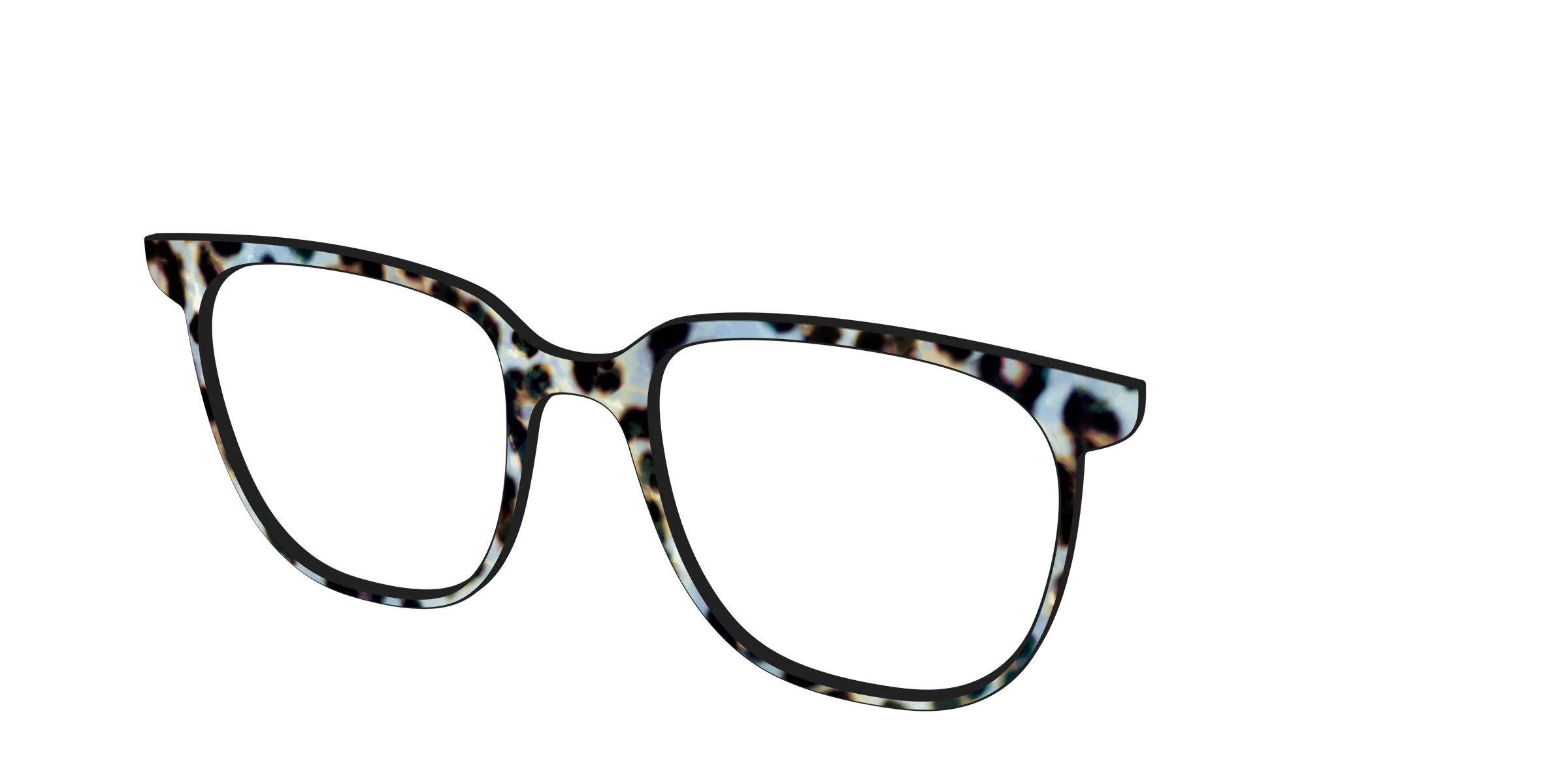 The Earl Grey Tortoise - Image 48