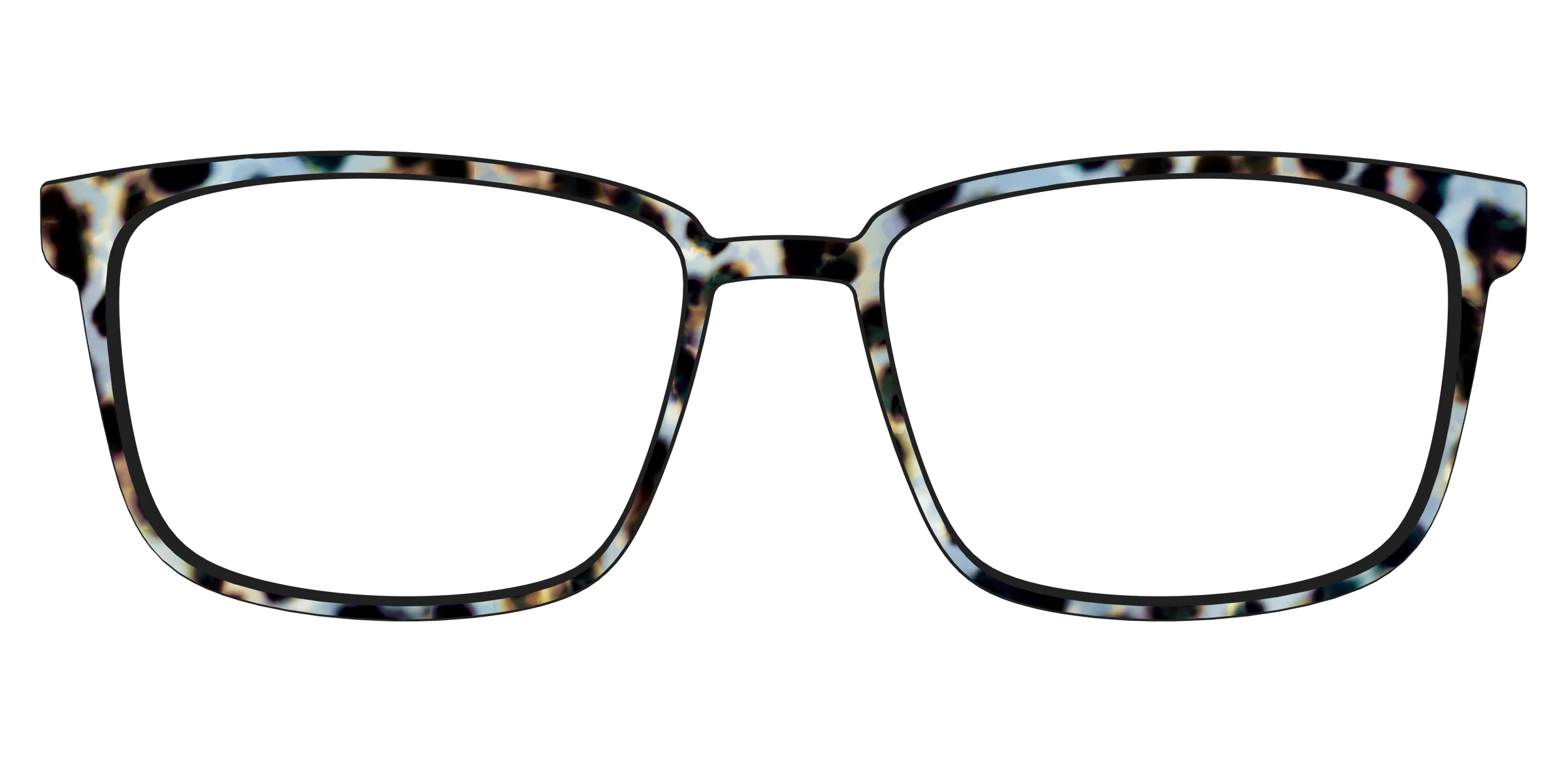The Earl Grey Tortoise - Image 49