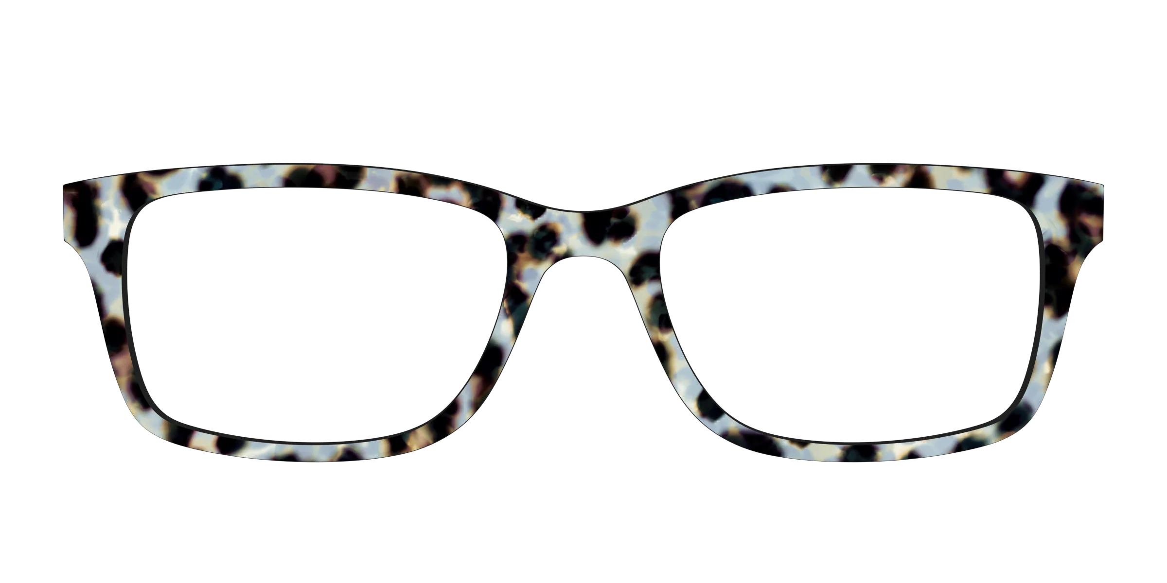 The Earl Grey Tortoise - Image 5