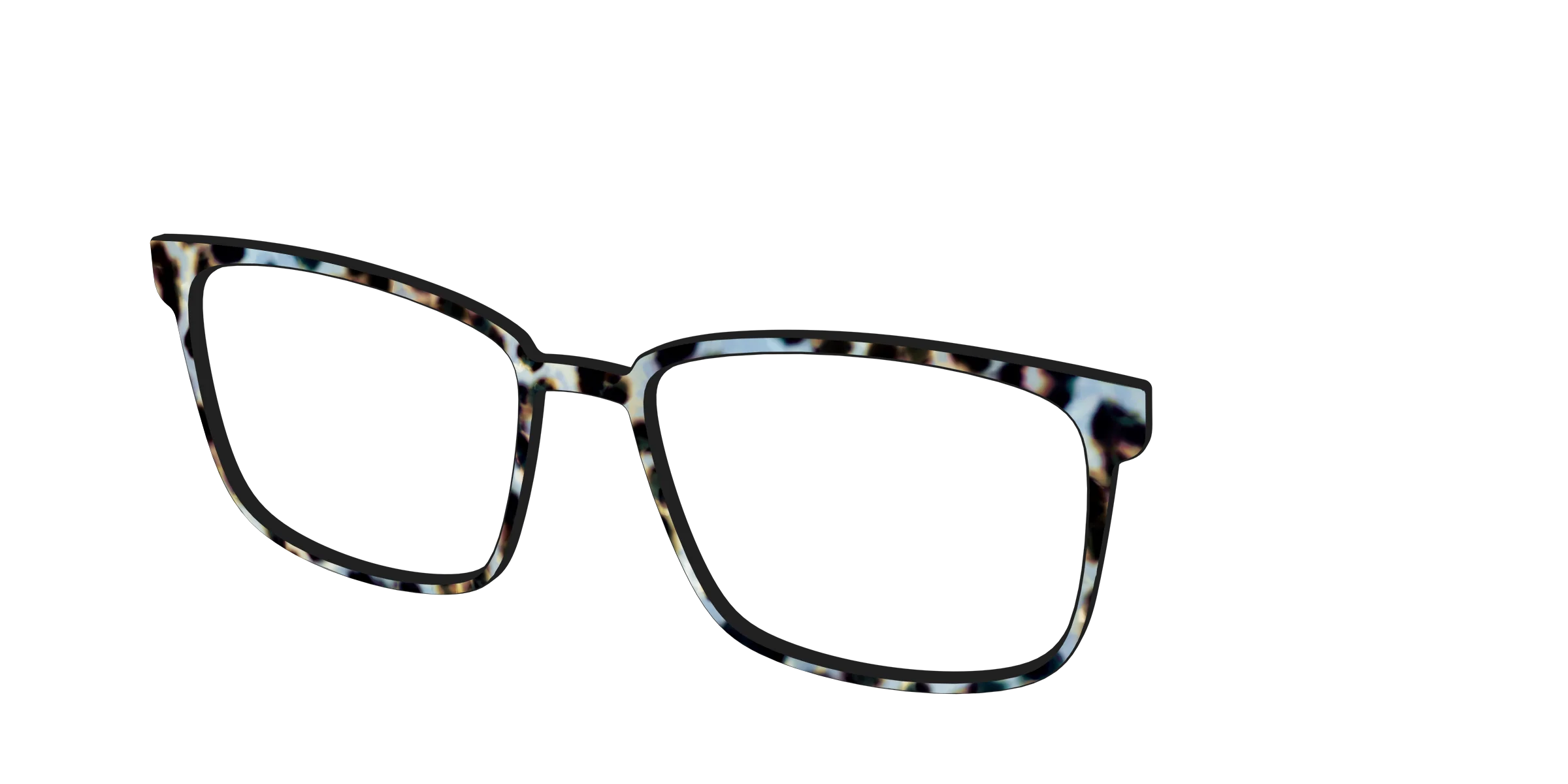 The Earl Grey Tortoise - Image 50