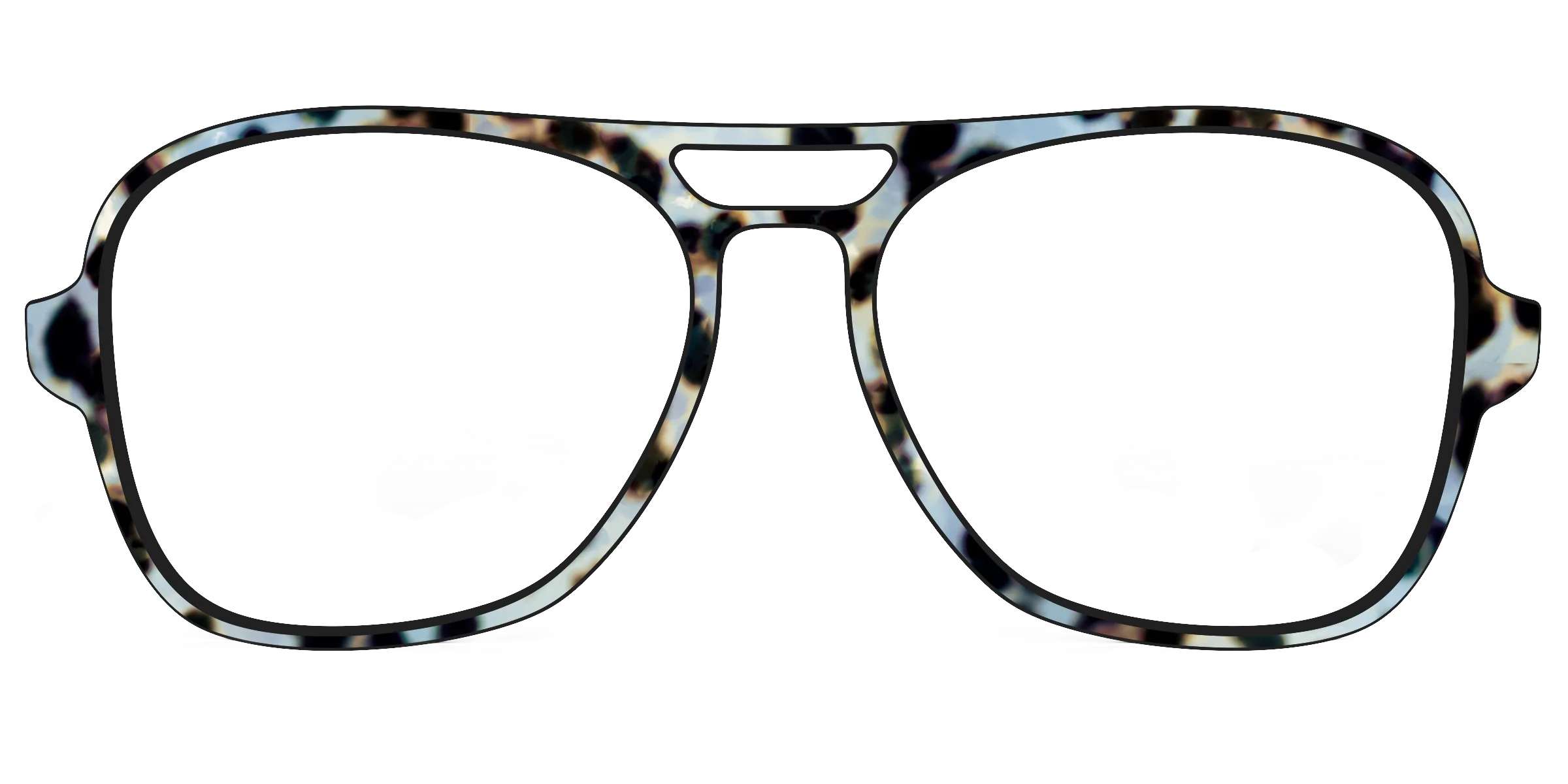 The Earl Grey Tortoise - Image 51