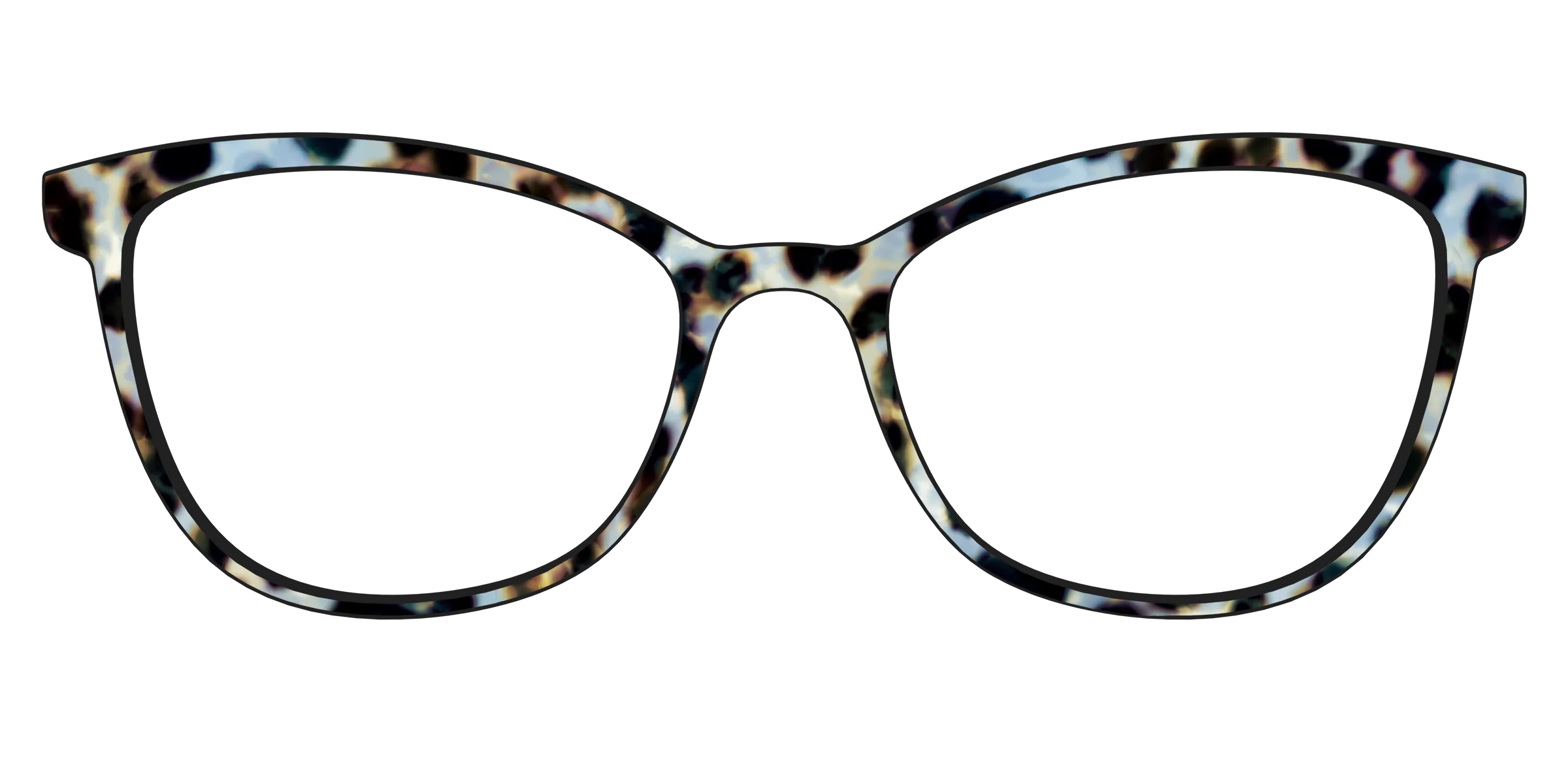 The Earl Grey Tortoise - Image 53