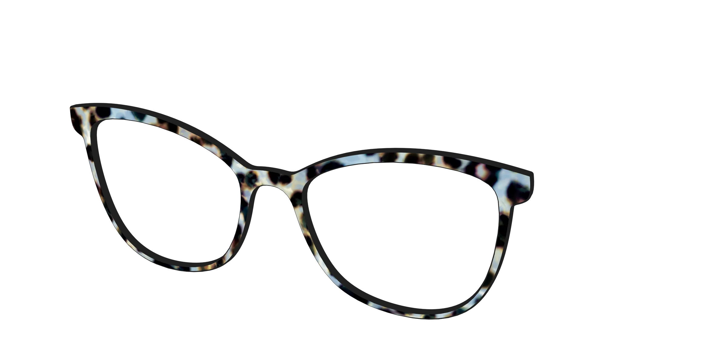 The Earl Grey Tortoise - Image 54