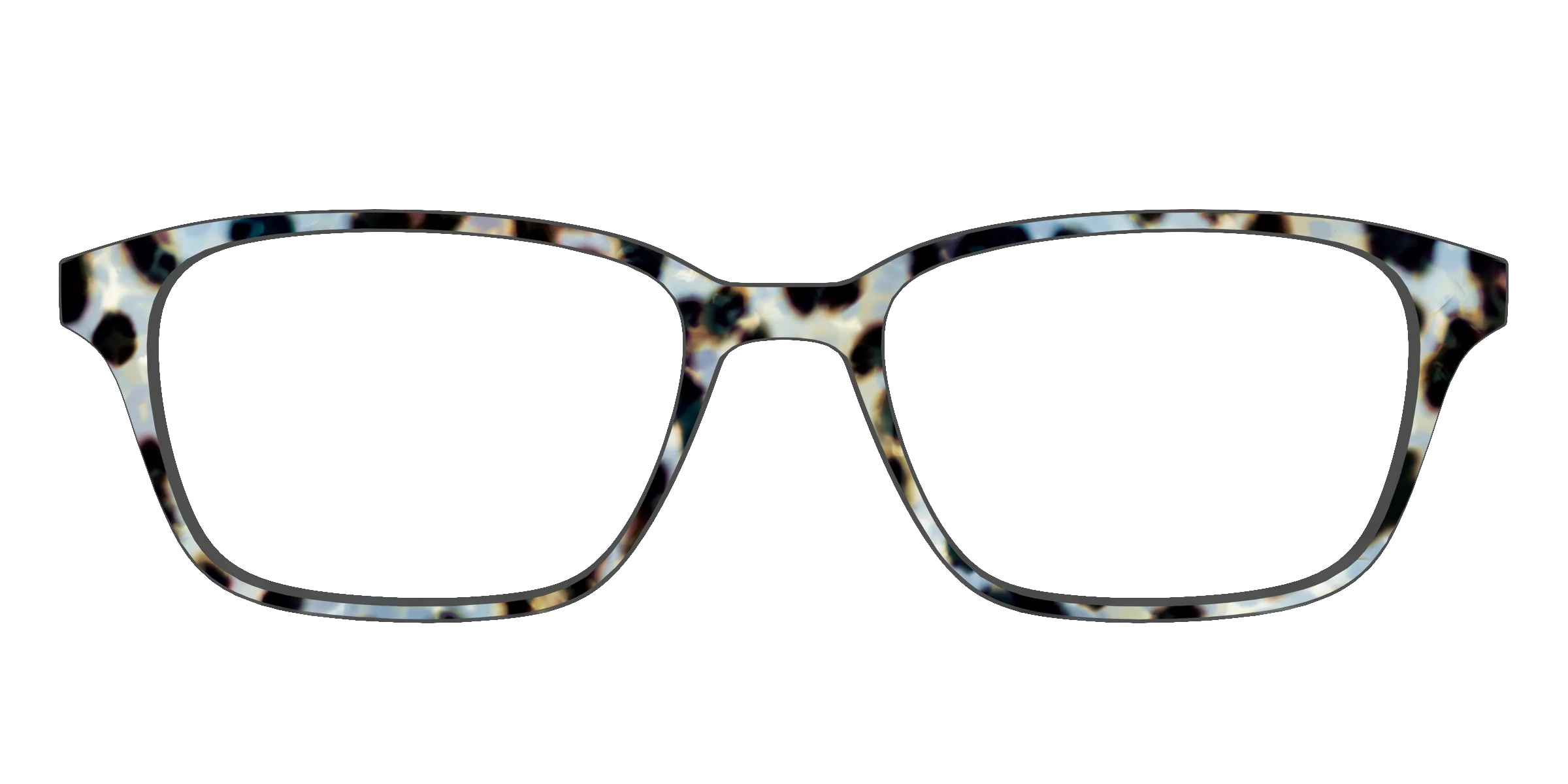 The Earl Grey Tortoise - Image 55