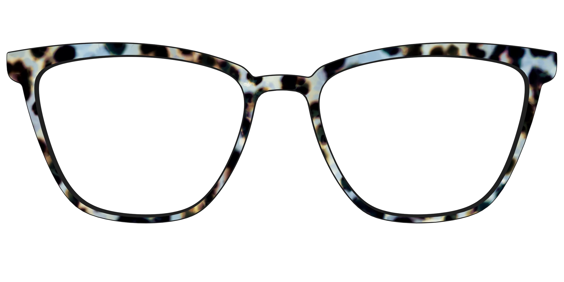 The Earl Grey Tortoise - Image 57
