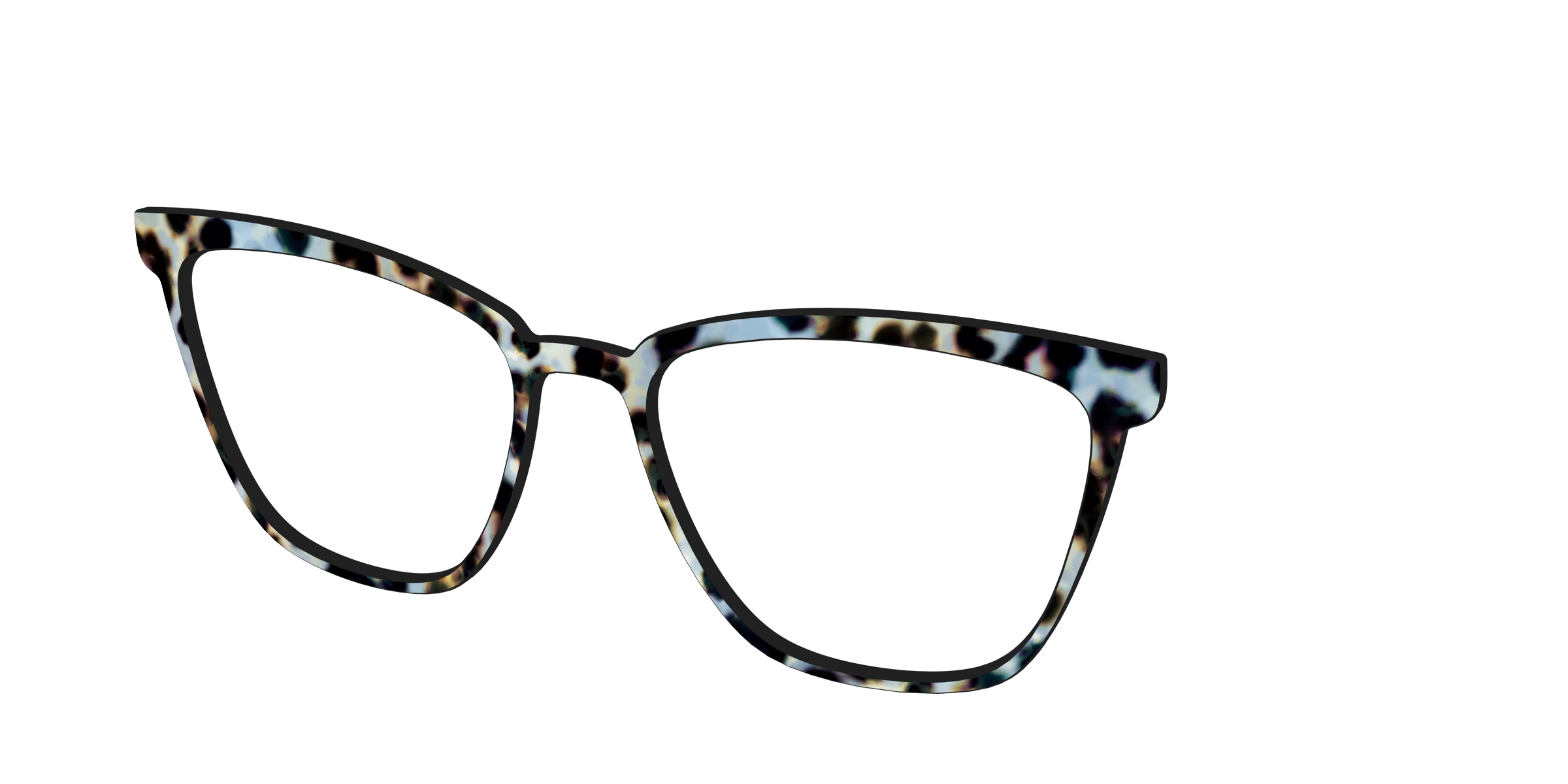 The Earl Grey Tortoise - Image 58
