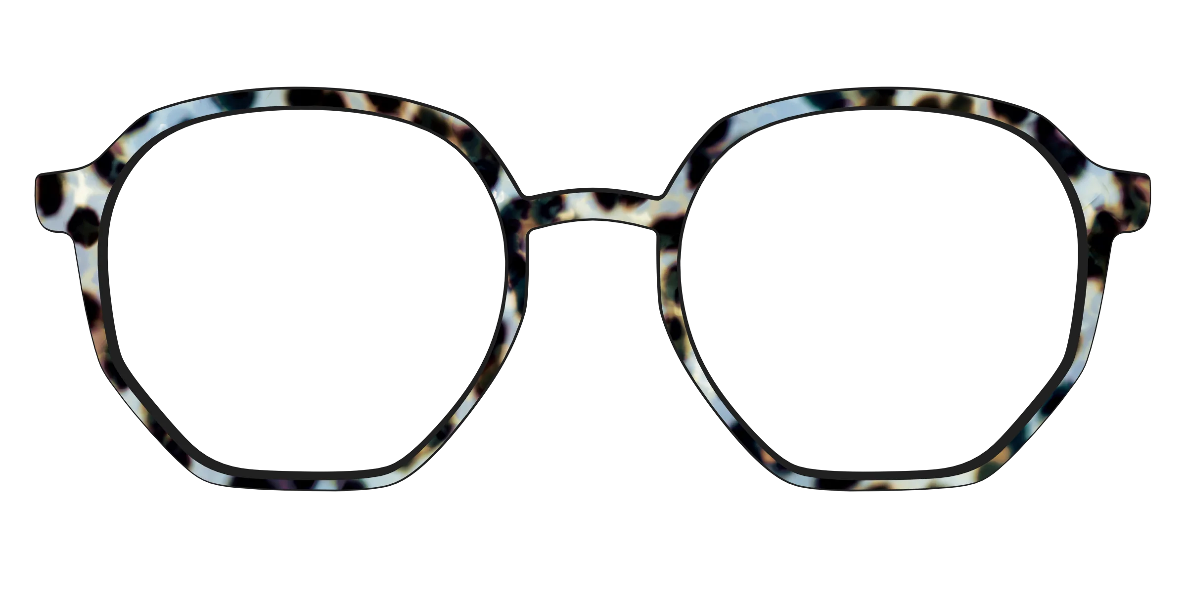 The Earl Grey Tortoise - Image 59