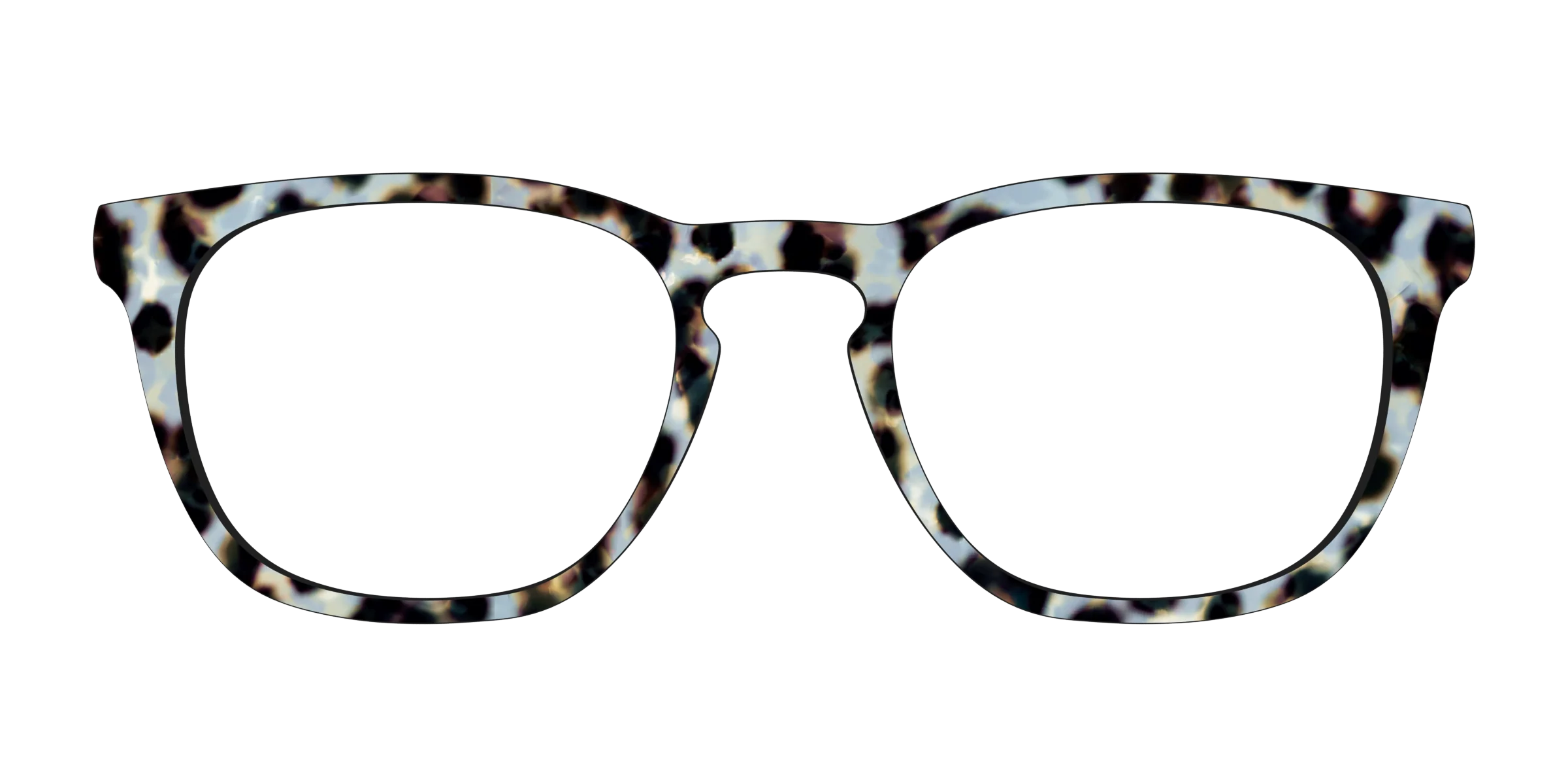 The Earl Grey Tortoise - Image 7