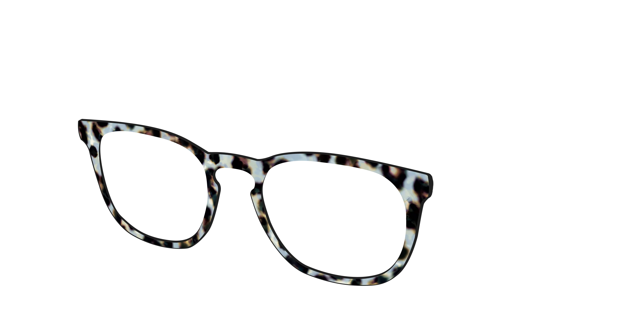 The Earl Grey Tortoise - Image 8