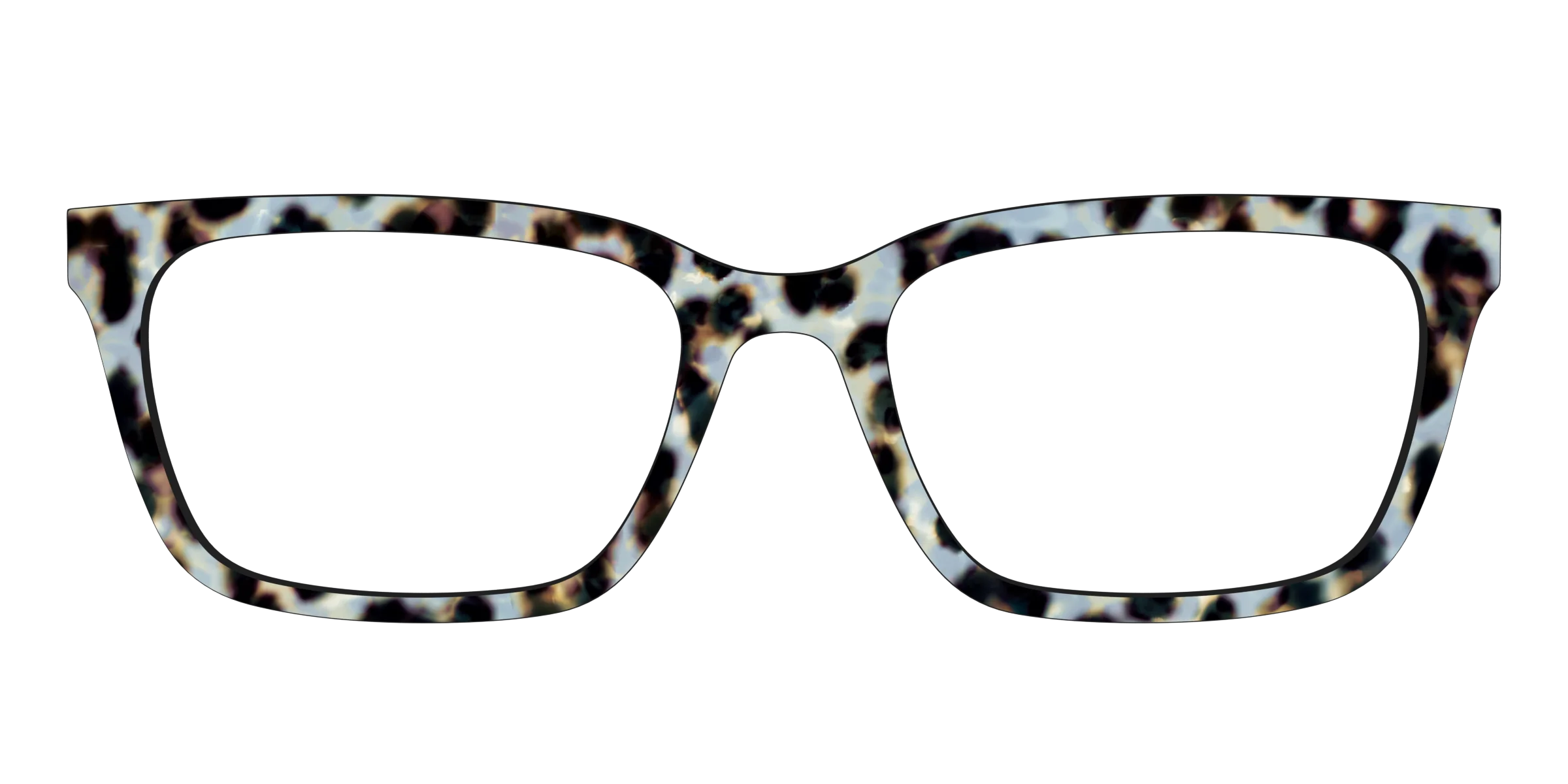 The Earl Grey Tortoise - Image 9
