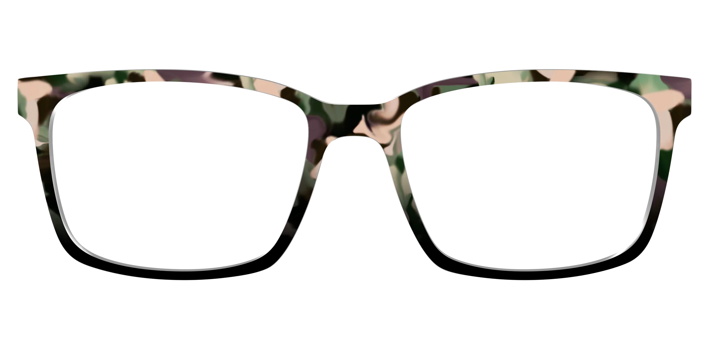 The Forest Tortoise - Image 11