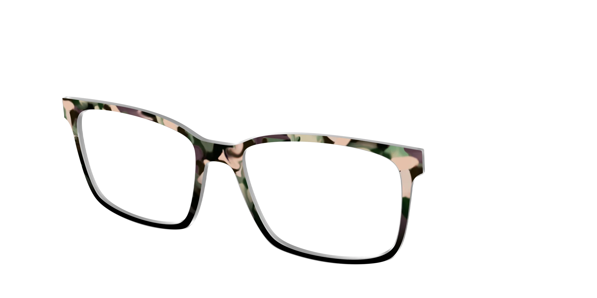The Forest Tortoise - Image 12
