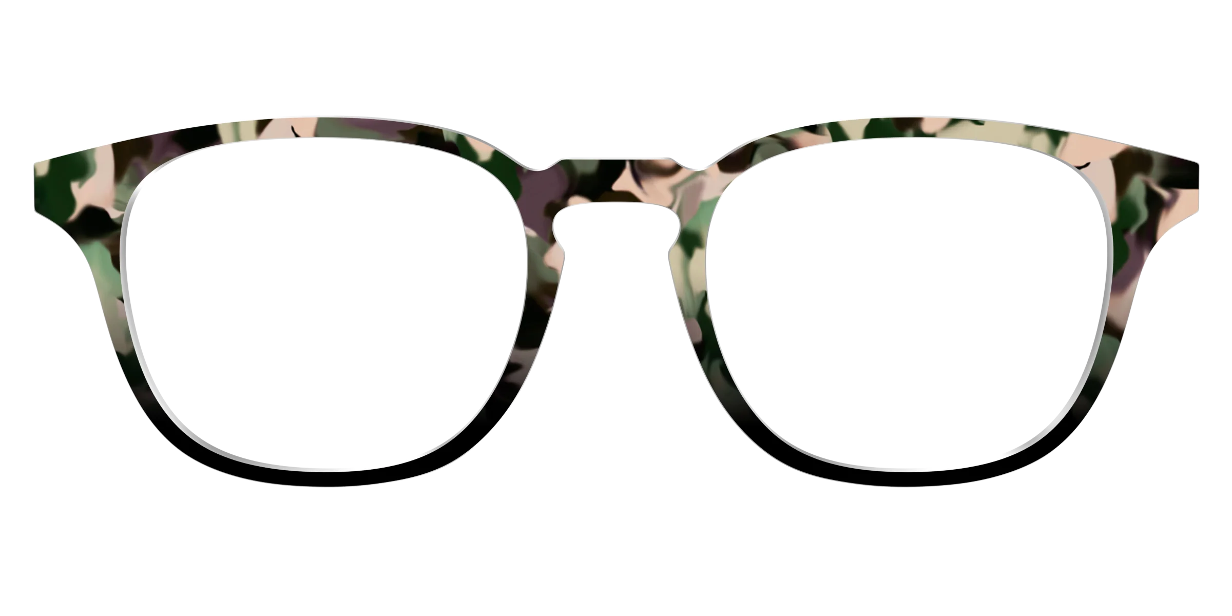 The Forest Tortoise - Image 17
