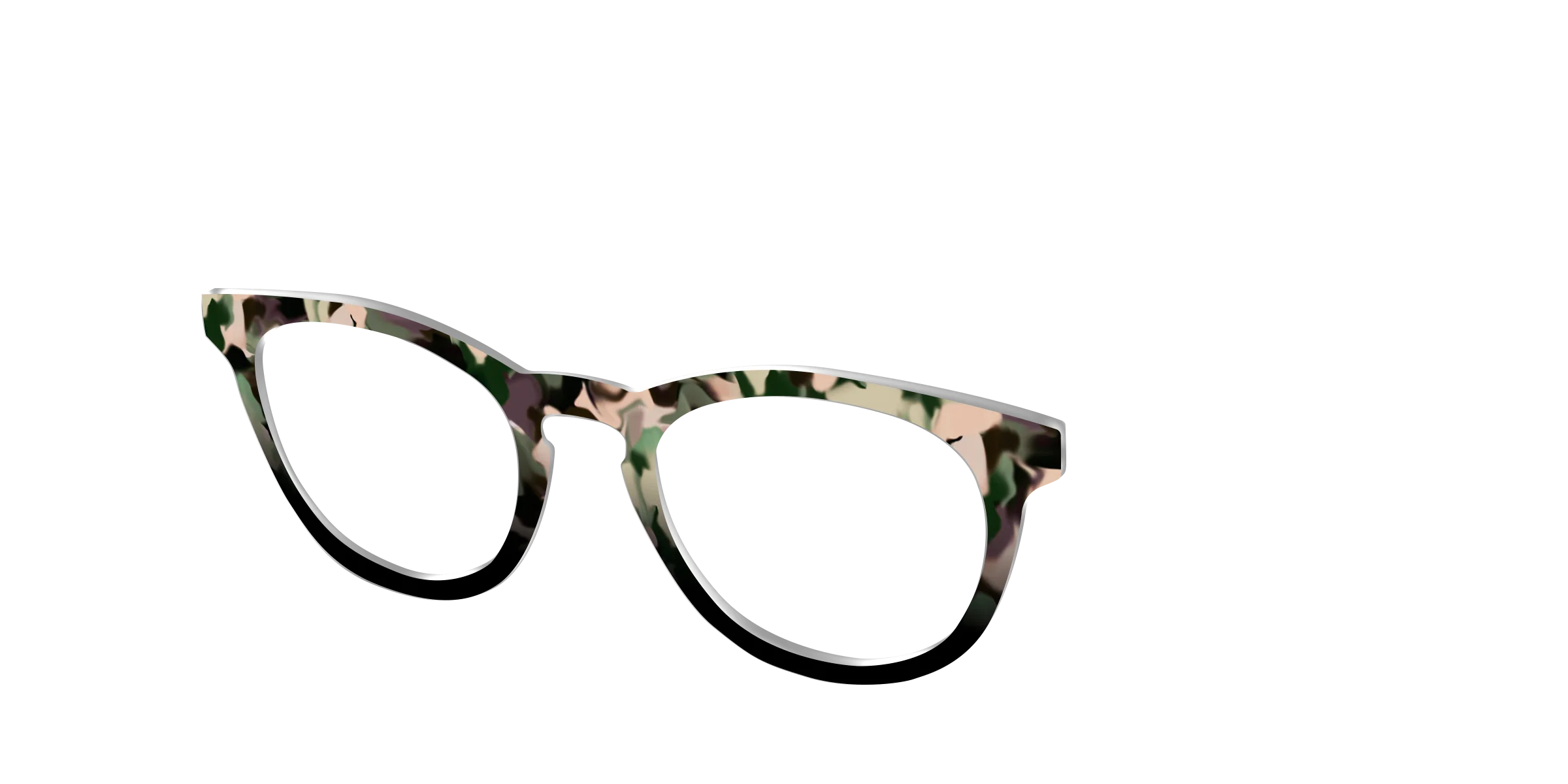 The Forest Tortoise - Image 4