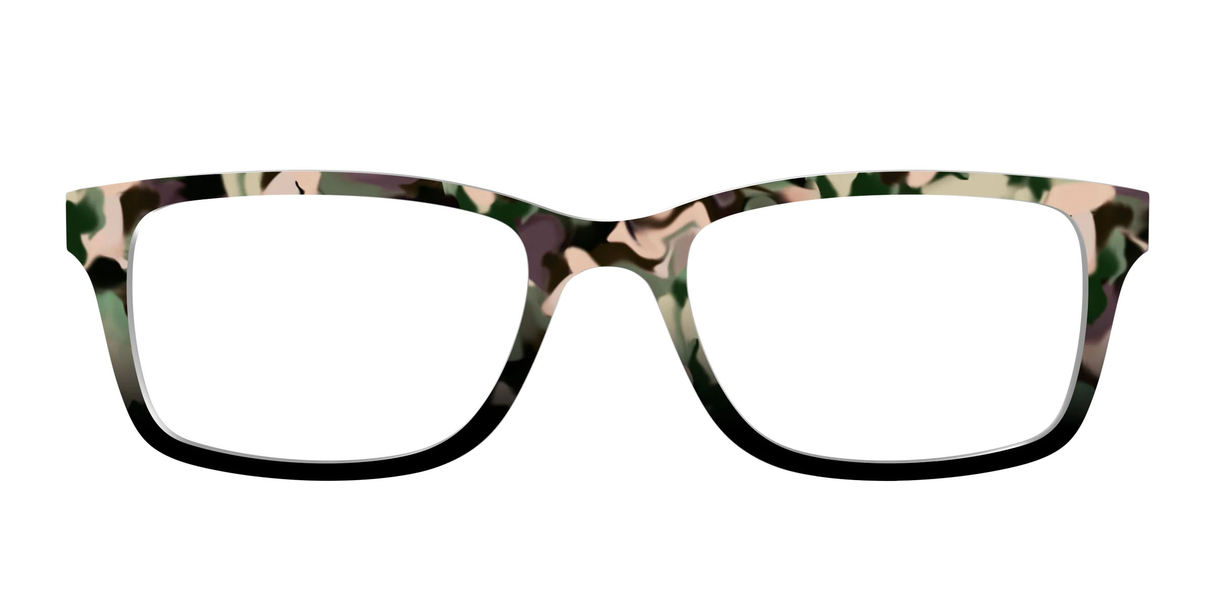 The Forest Tortoise - Image 5