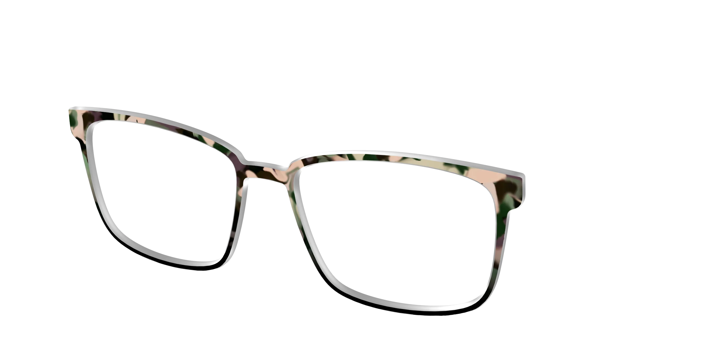 The Forest Tortoise - Image 50