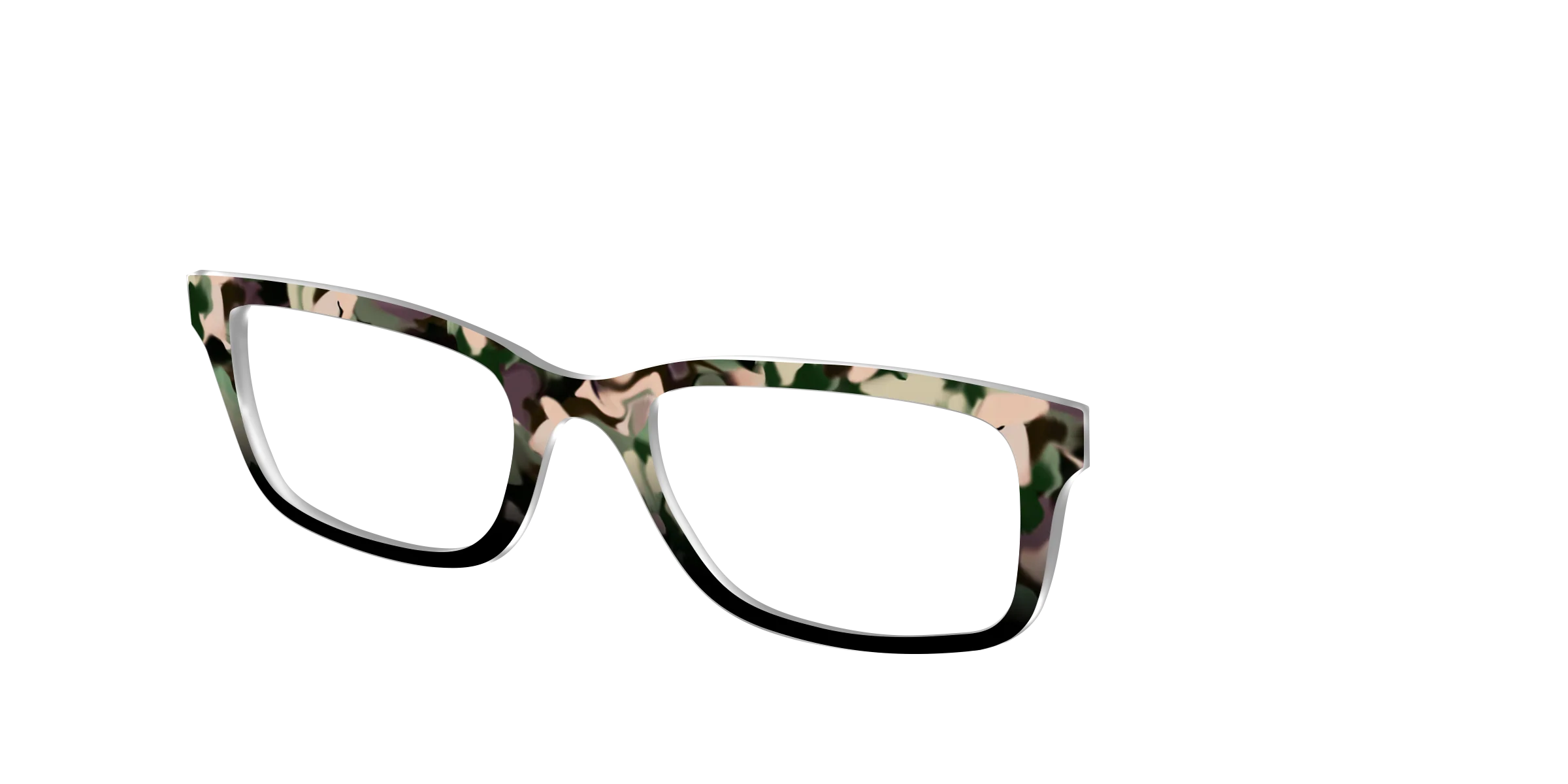 The Forest Tortoise - Image 6